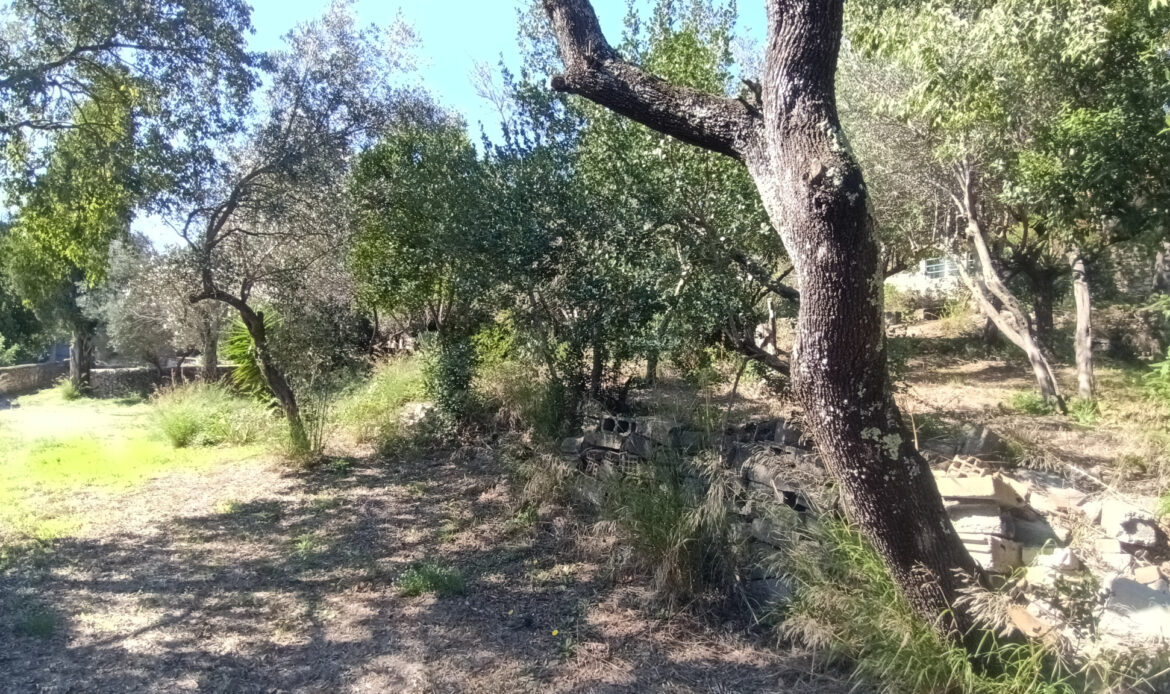 3ae640f5.jpg