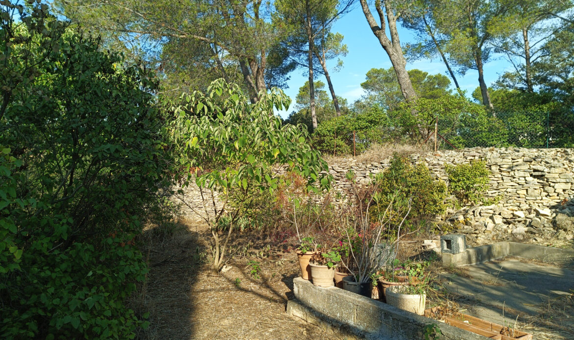 8b556cf8.jpg