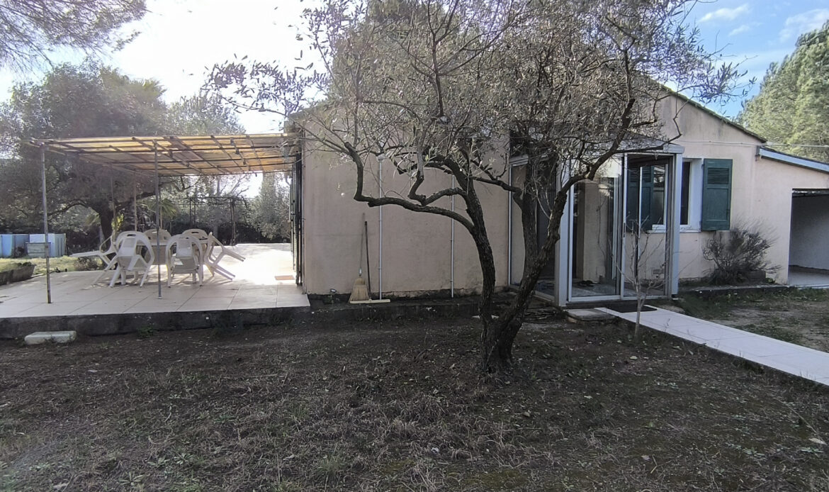 917f800c.jpg