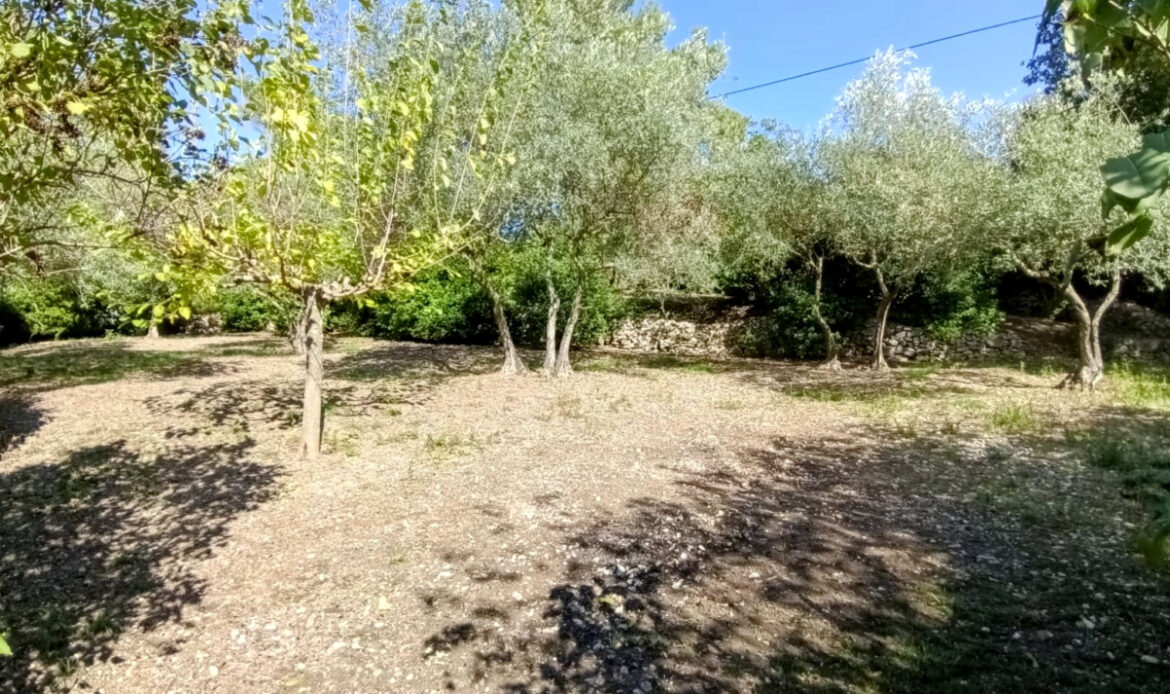 9619f285.jpg