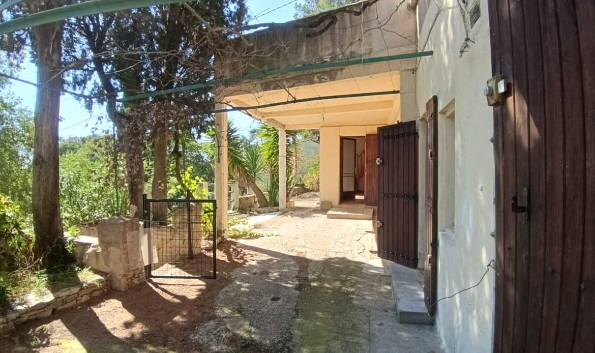 b6738d32.jpg