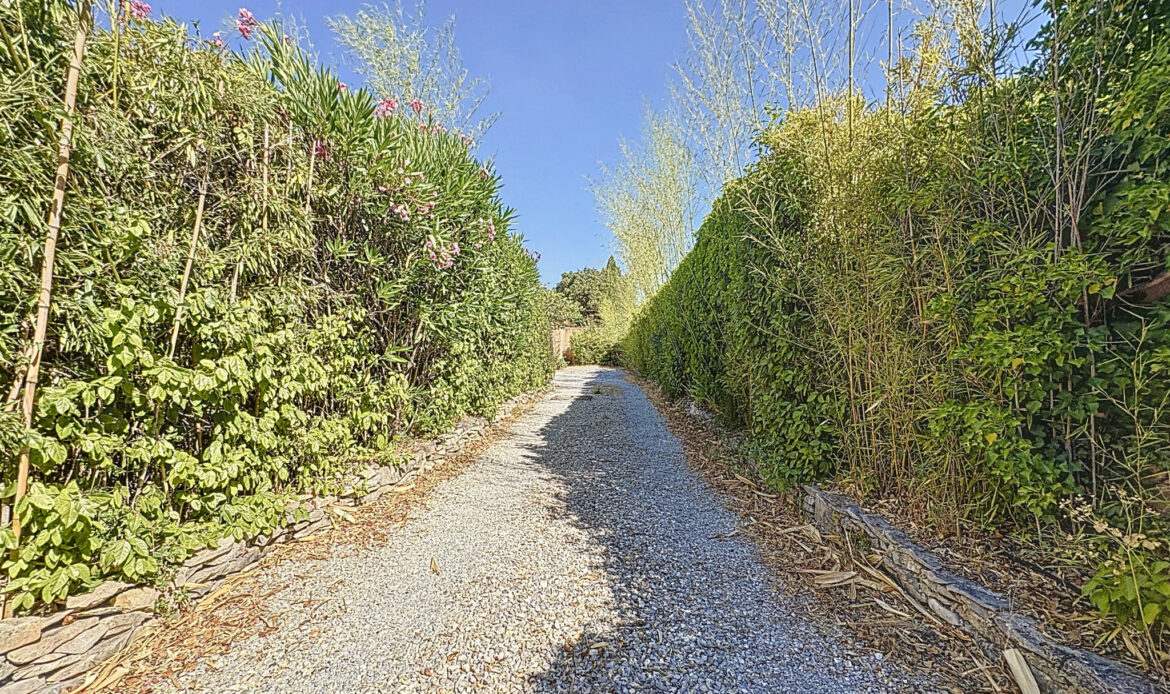 a88e8d78.jpg