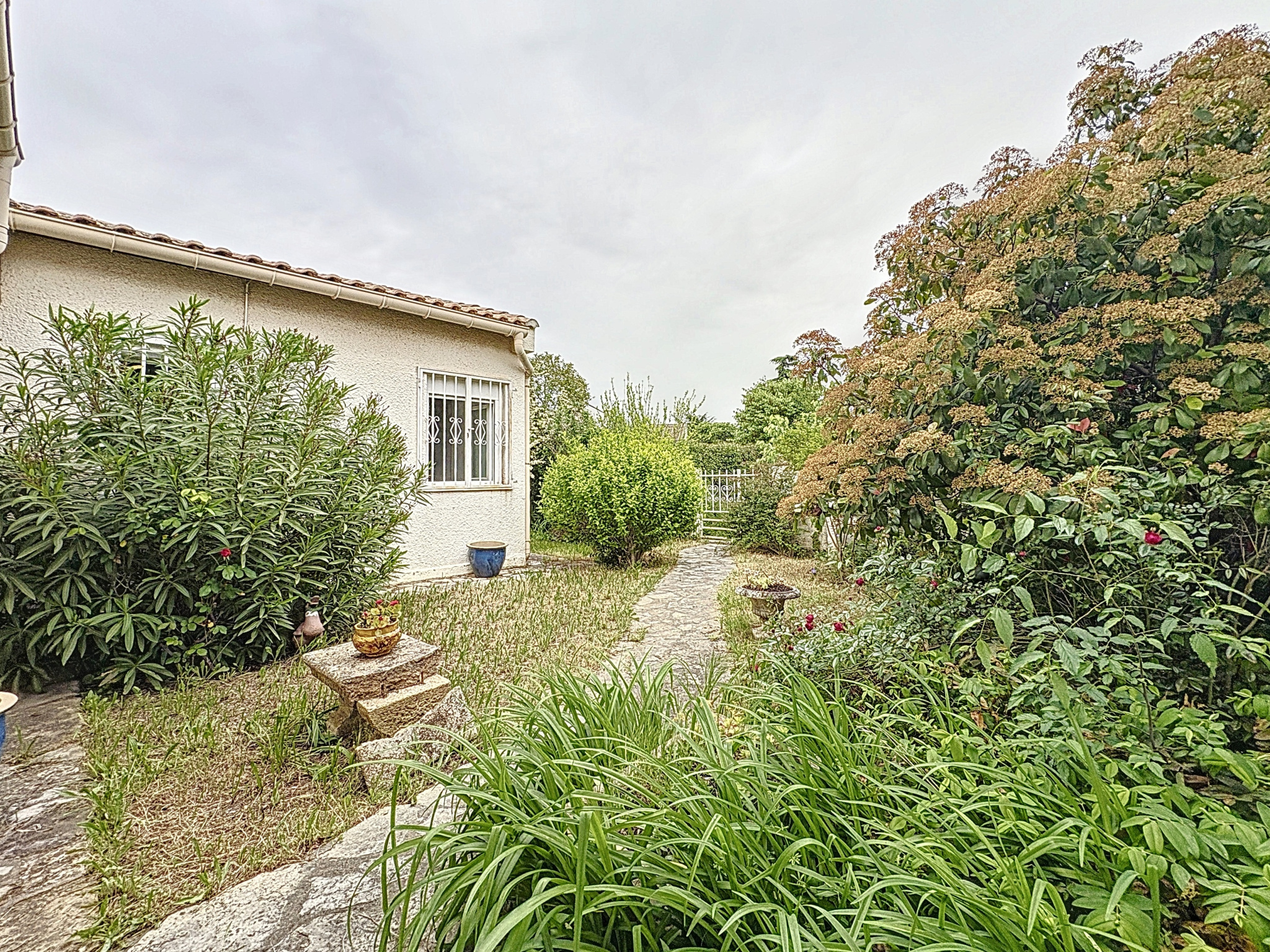 photo_0533ff4371931f503076b39f79df3ca6