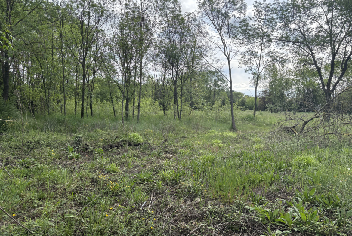 photo_0d188839864ea2c76005c118327df95a