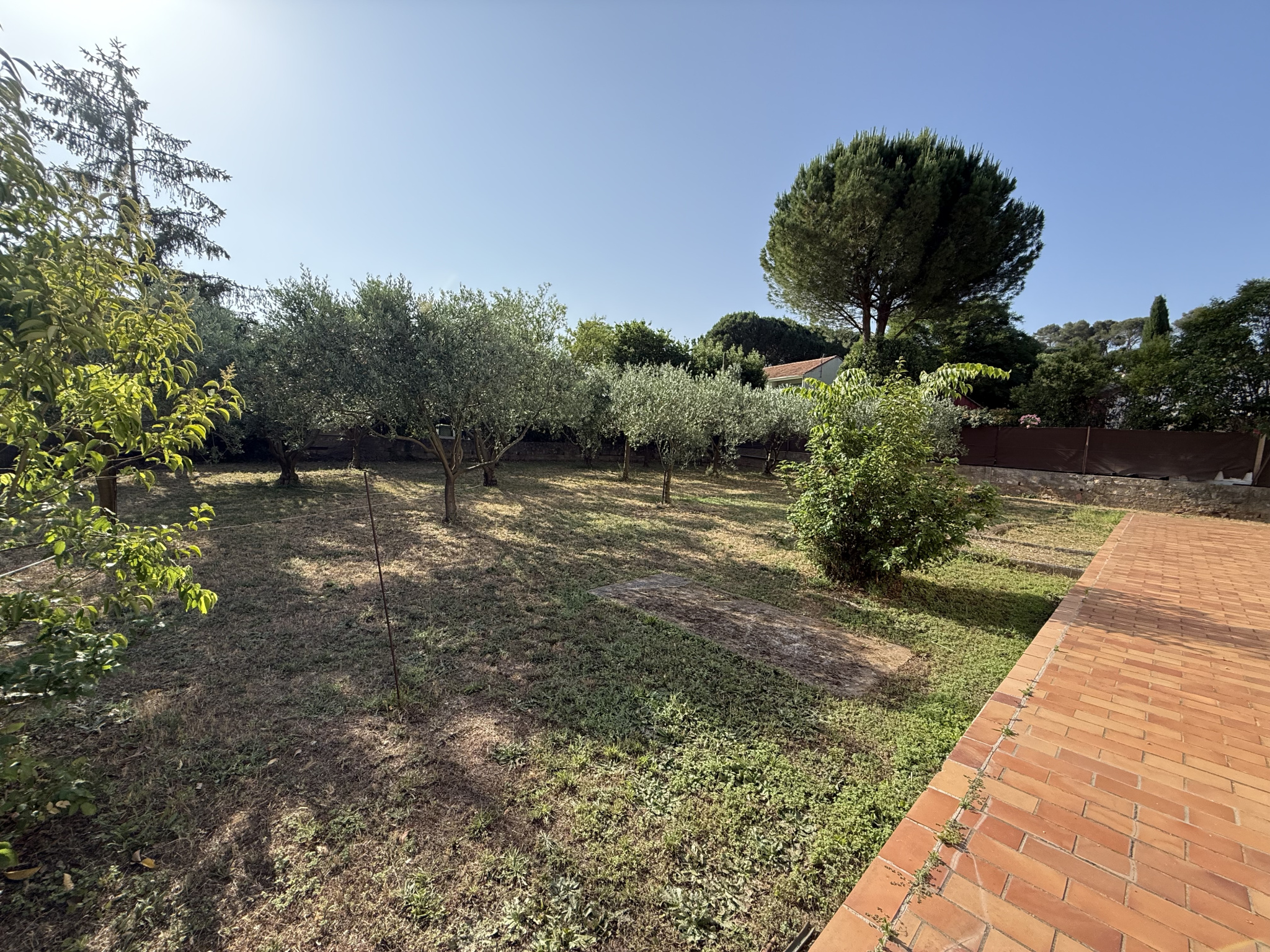 photo_159100329b59e4d129f74eb3e9e7e852