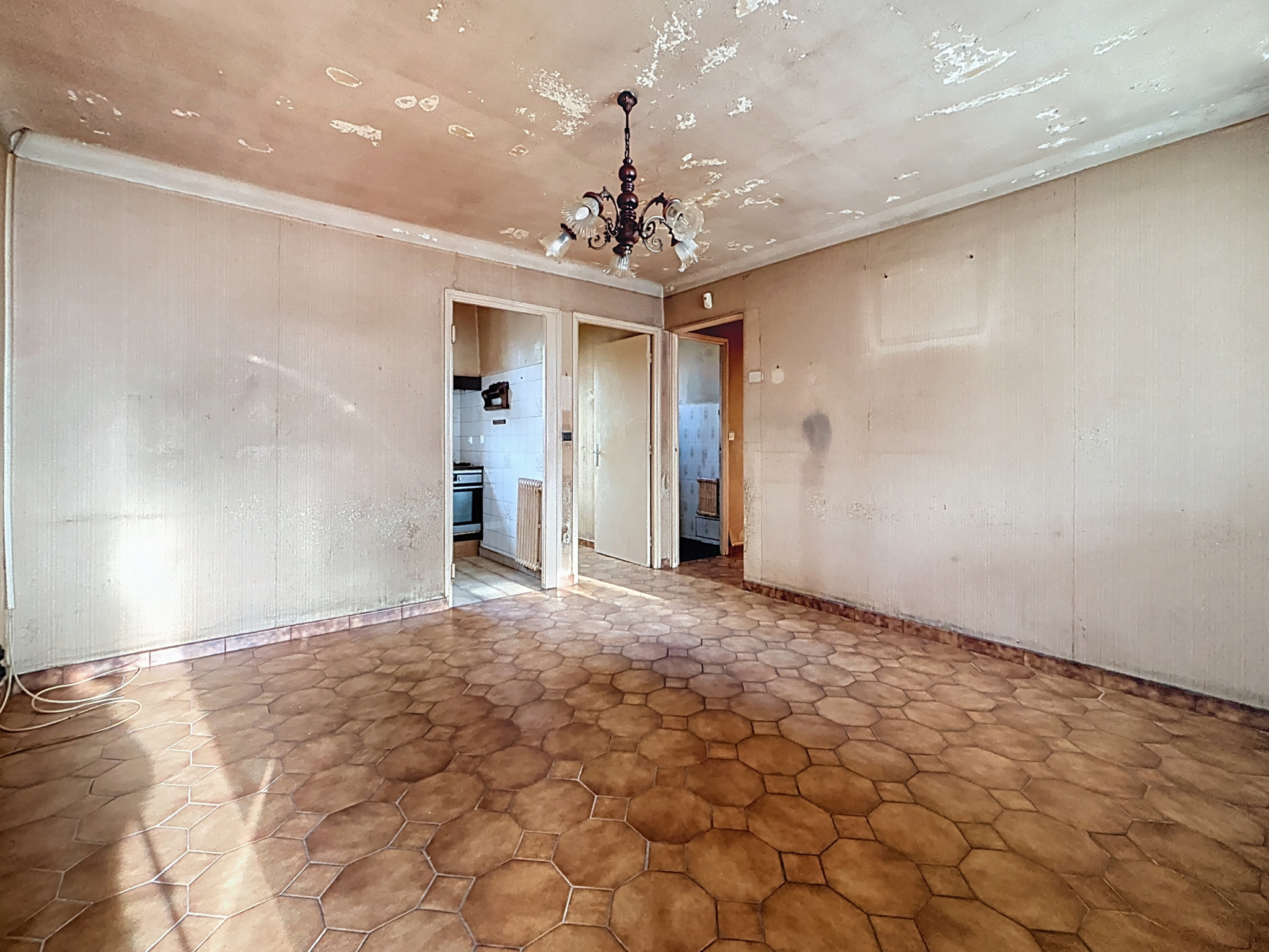 photo_1835323df526669cfb5571dc231abe3d