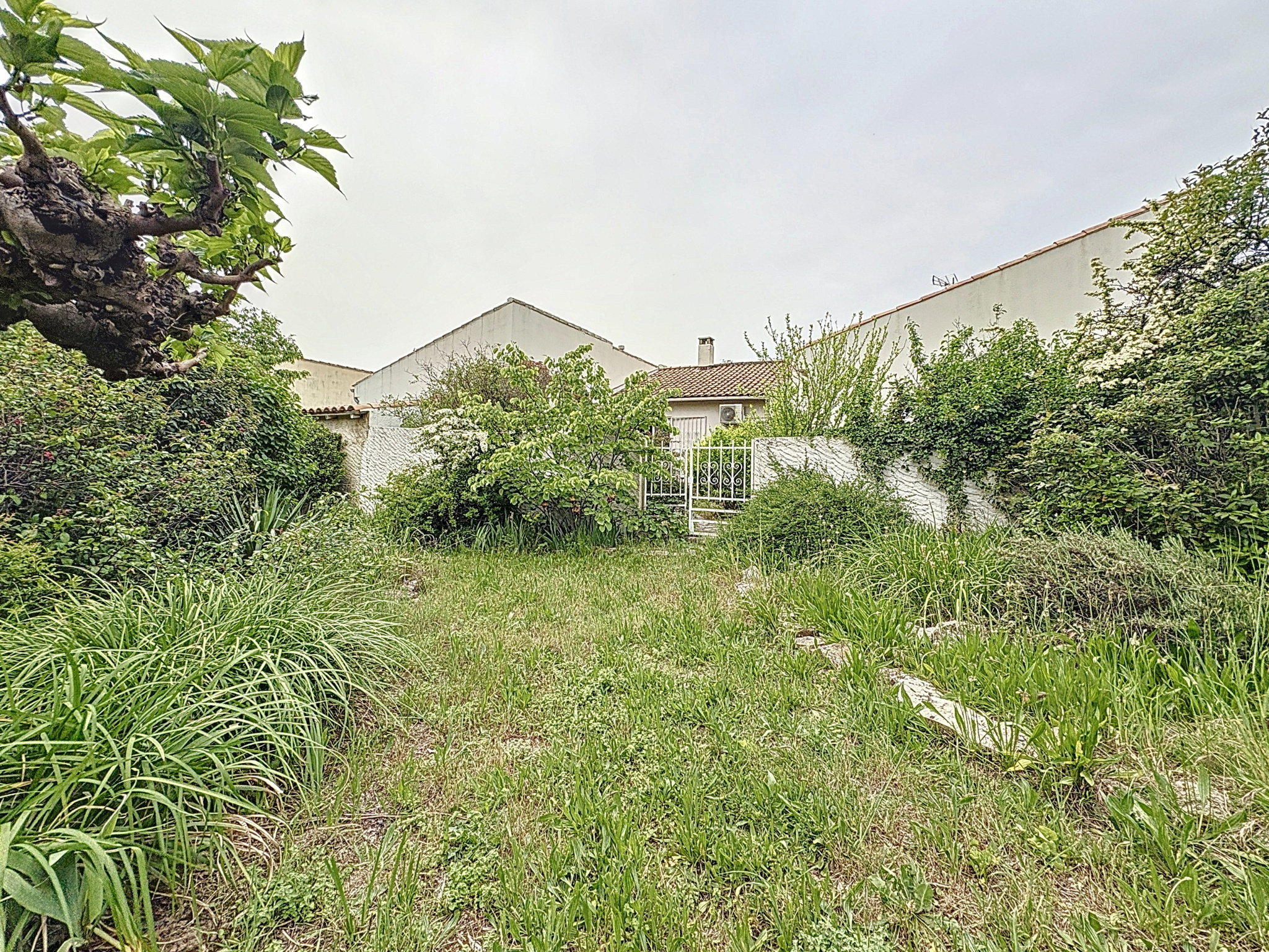 photo_1c086390e4dd0d9c9798f28ba2d9692d