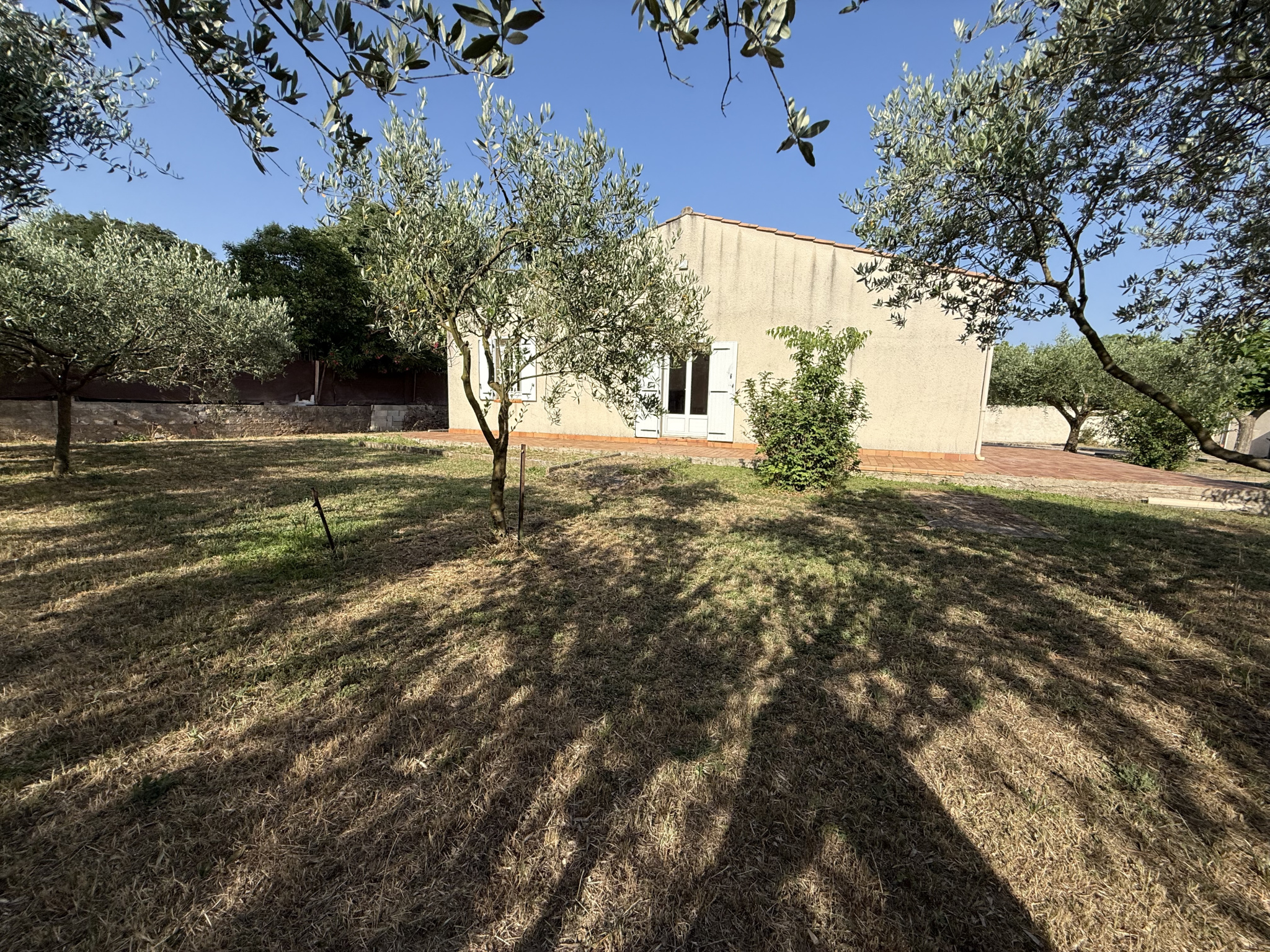 photo_1c531908a5298dc90c9568899914f41e