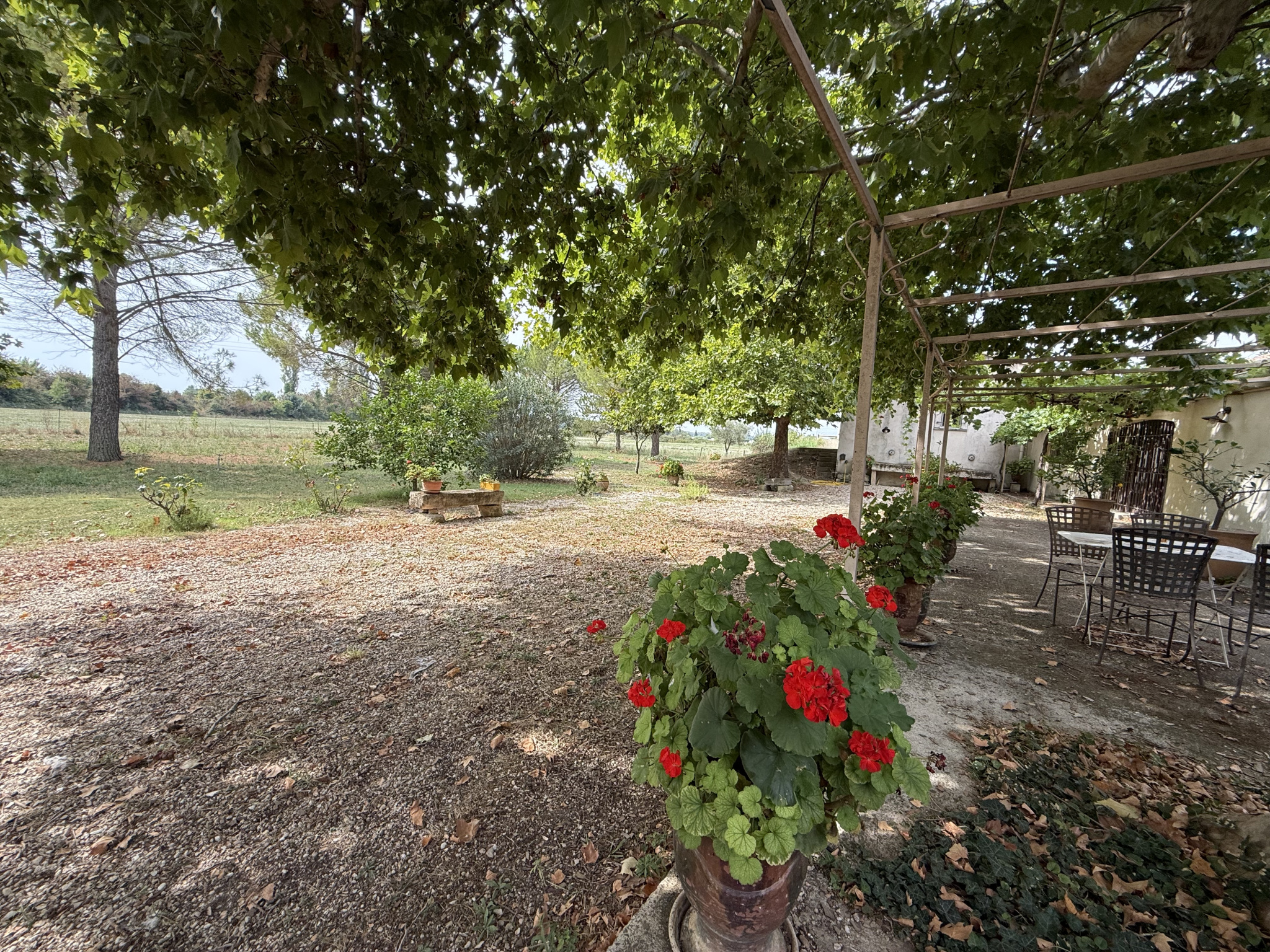 photo_1c7de9dd062f9a910bcaf7c62a374983