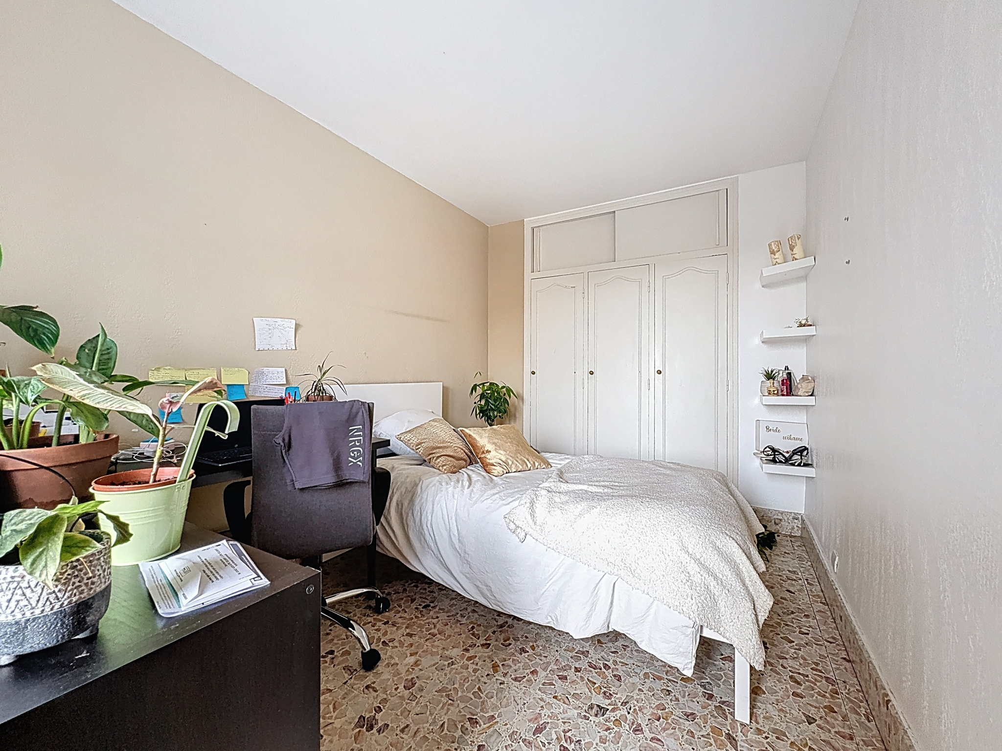 photo_1fa199427dbb8990aa814516835e6b34