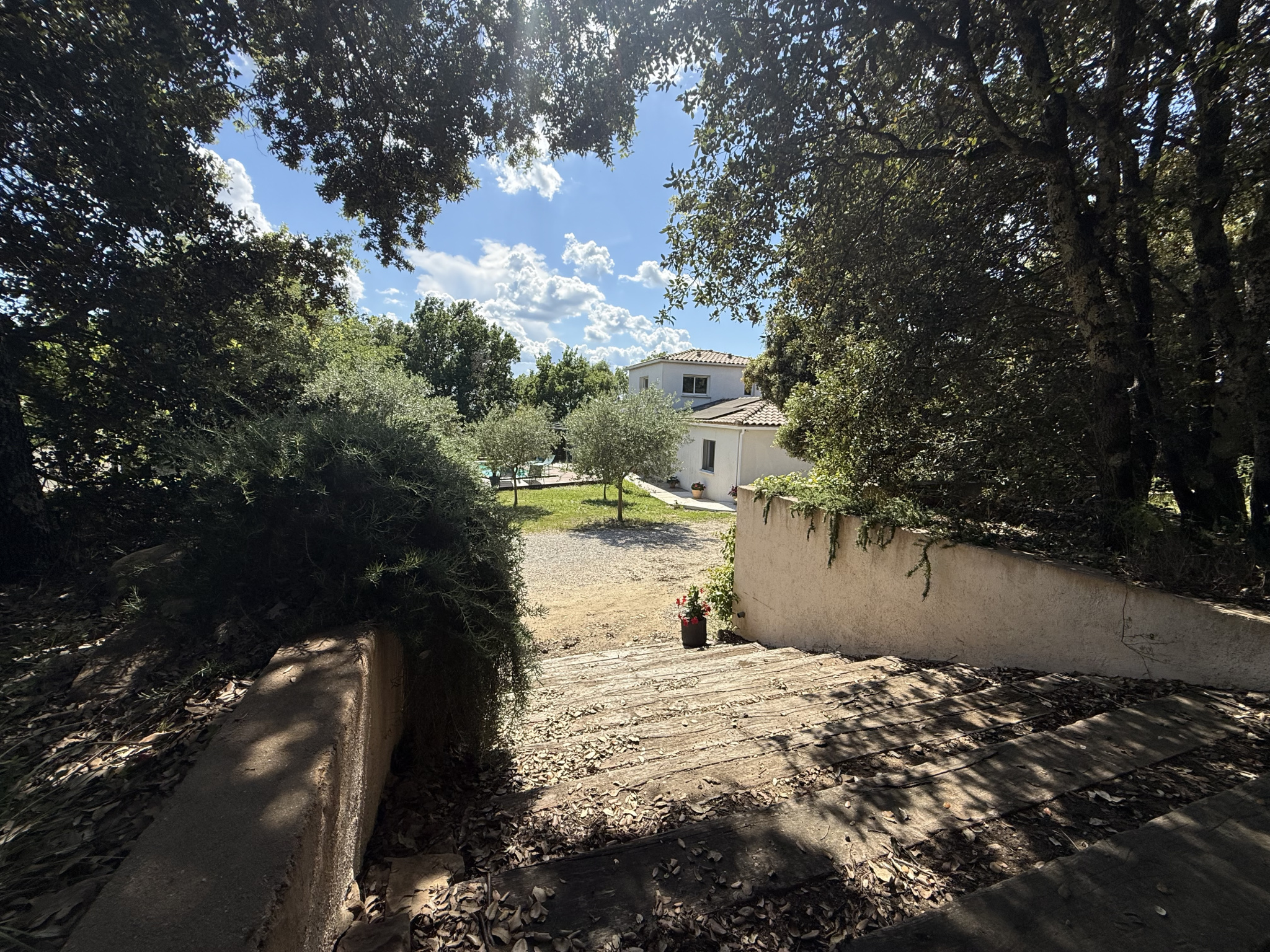 photo_26051d3c947d88de6cd5370ab4130fcb