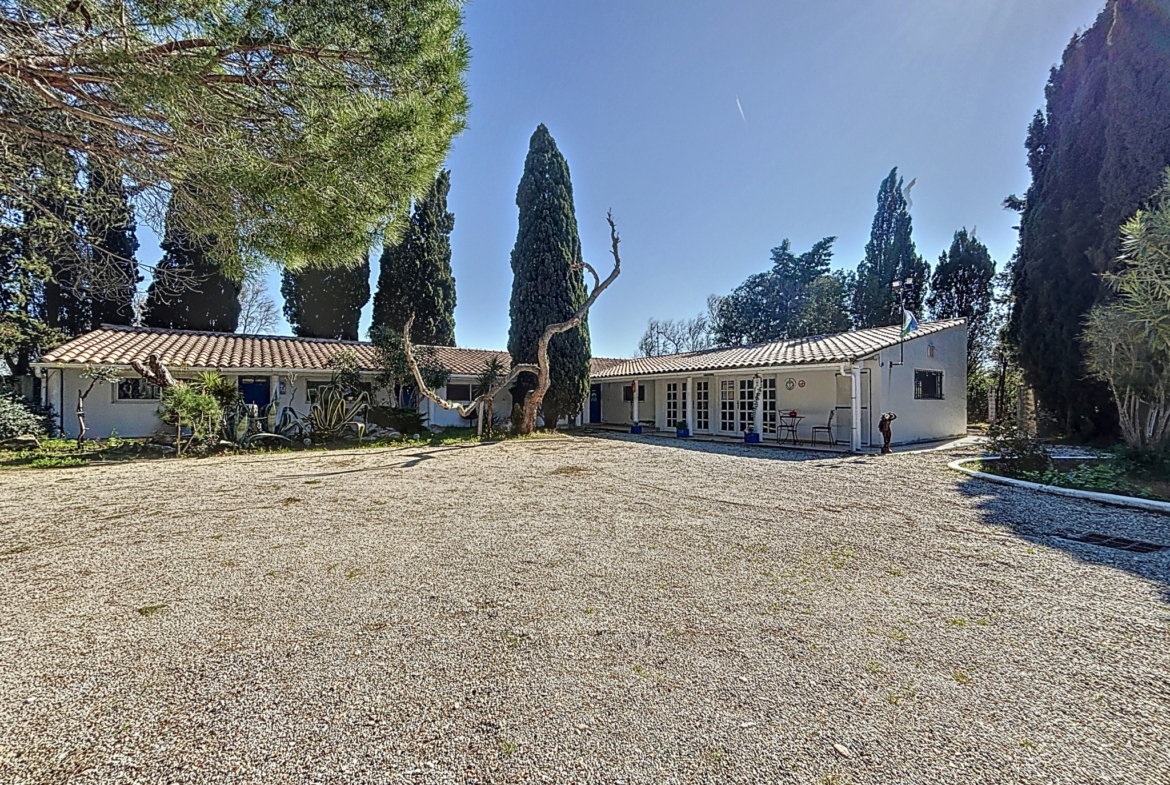 photo_27b8288a06919c030571b25477860654