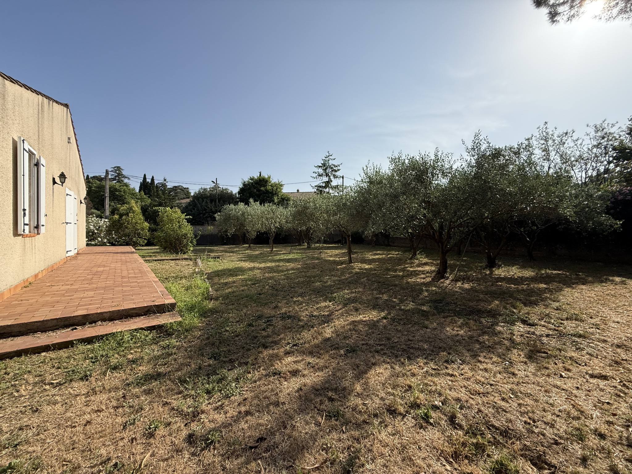 photo_30ea8b0d82d2ca2c2b4a71ca0b3271fe