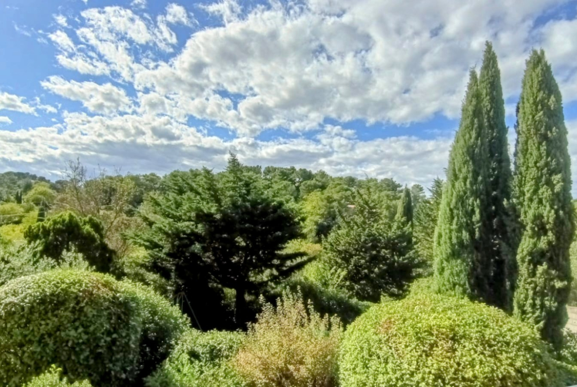 photo_388fe483c68f6acf11d9a796bd302dbb