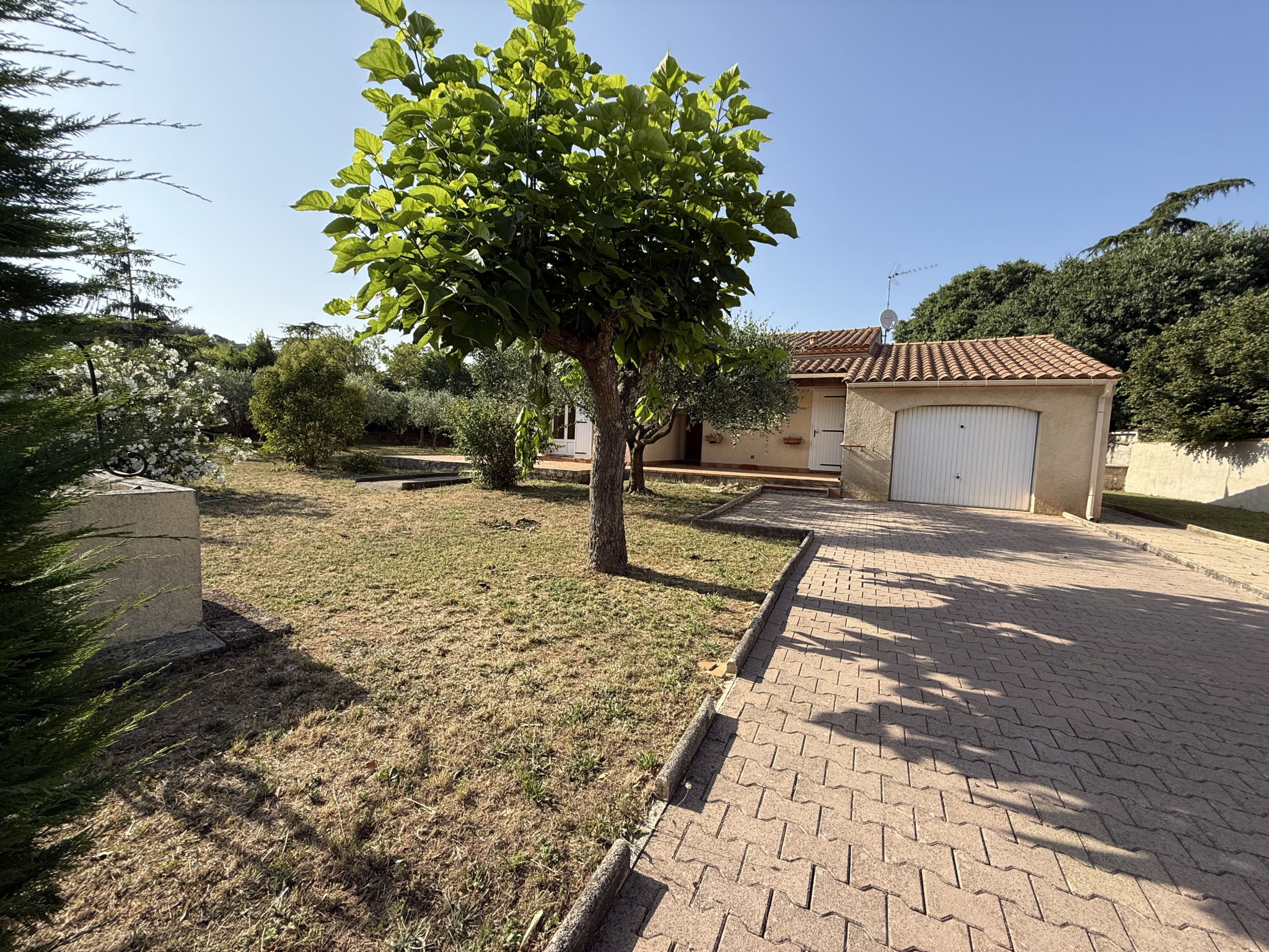 photo_411e64a43c36913d56187abf6b558a32