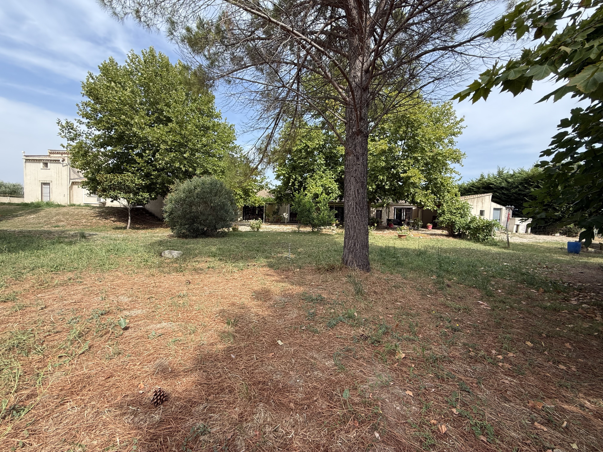 photo_42a7e8988850a1d5612bbb717565487e