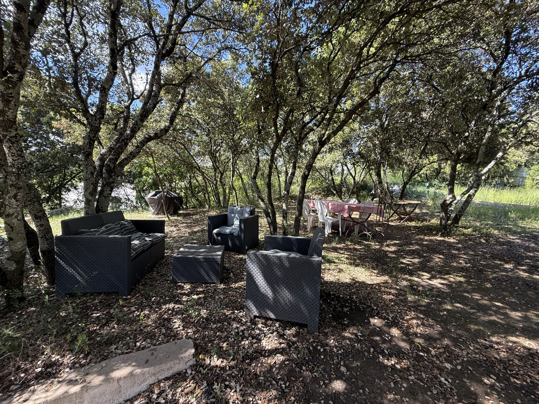 photo_441293e045f5804d385404f8fe73cd1d