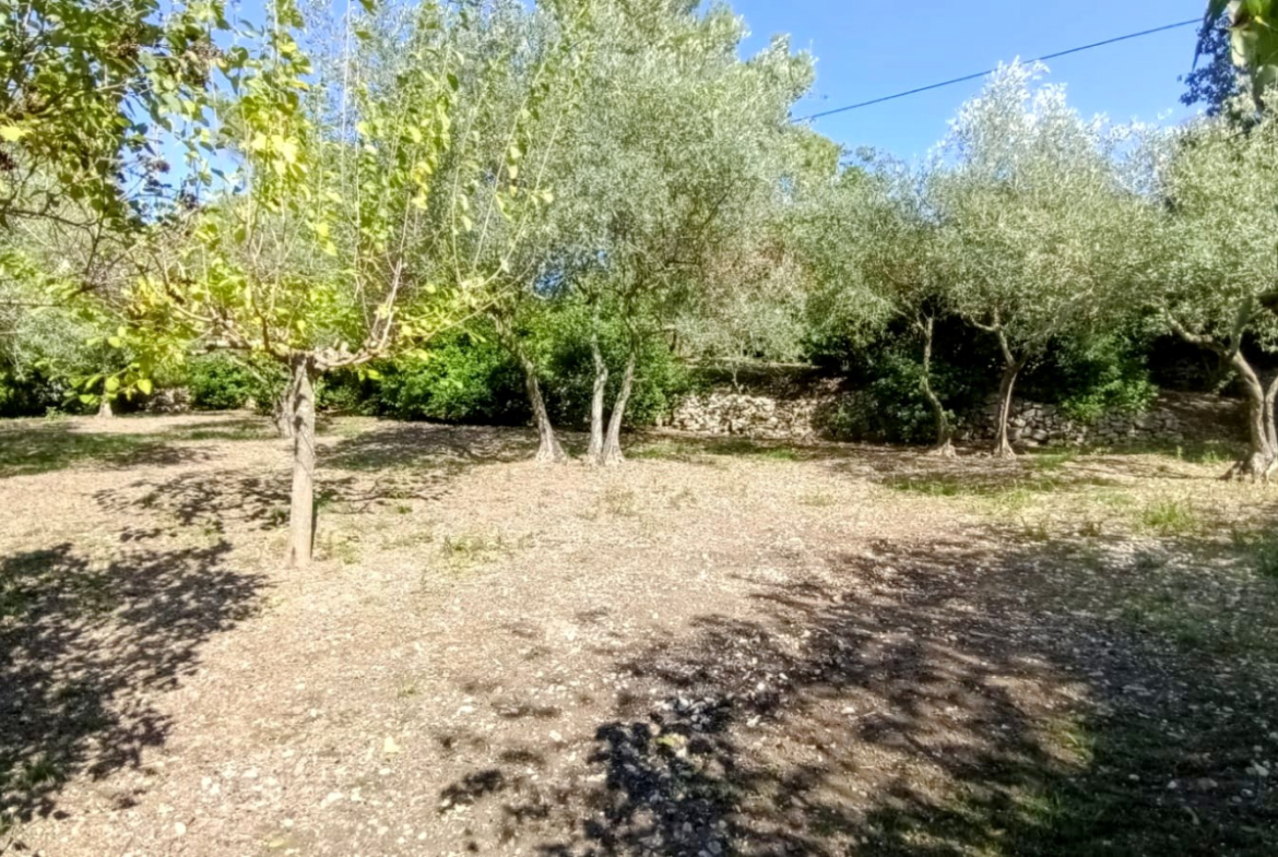 photo_4e28c5989621a7030f889ad9d9a213e1