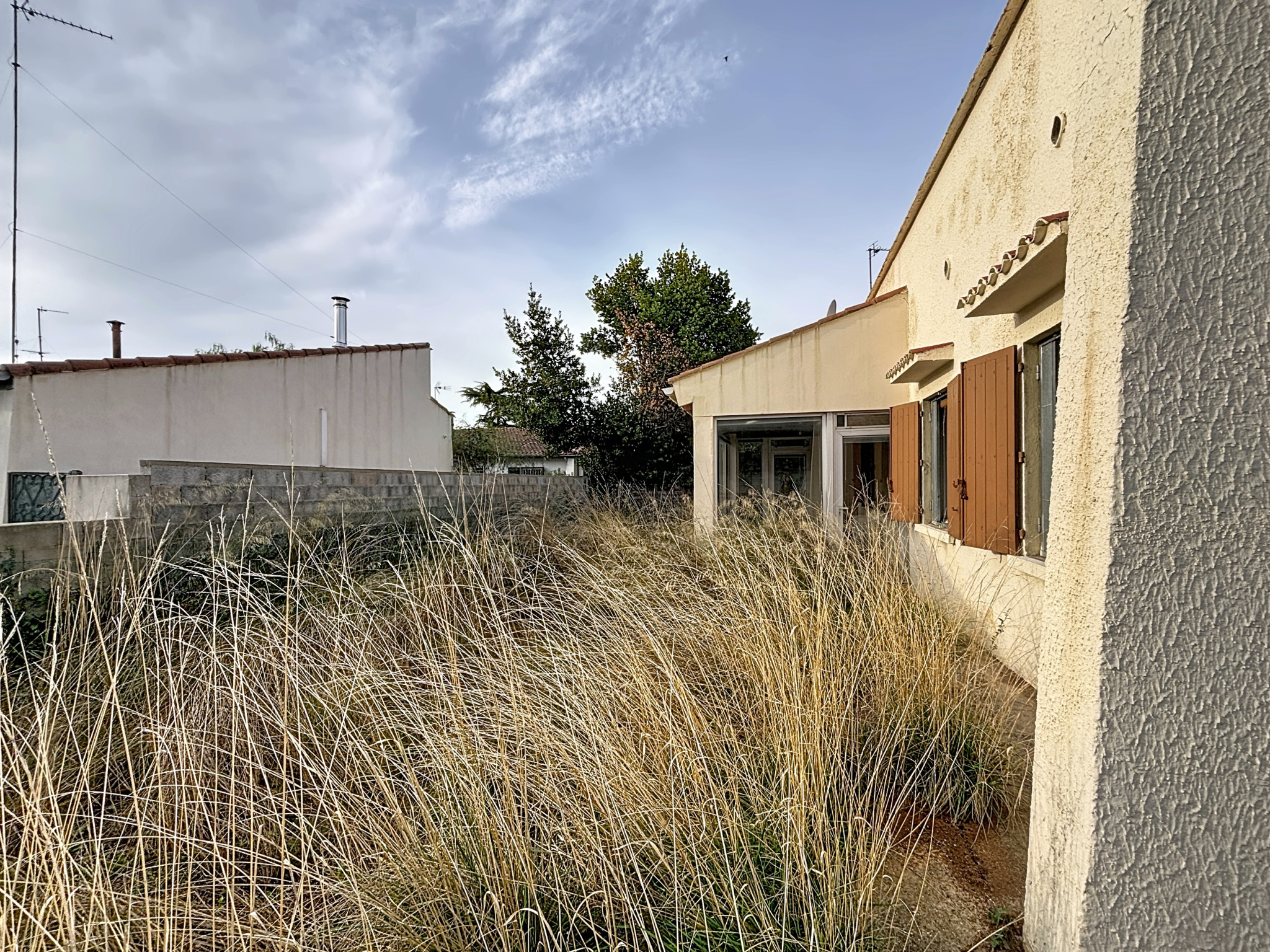 photo_54c005efe321c0873a20786dab2adce0