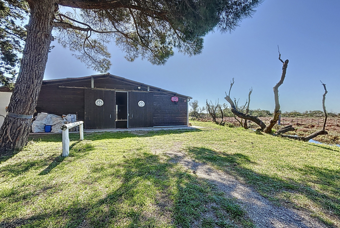 photo_5c5013490e6797fd6ac894d2b30a29ac