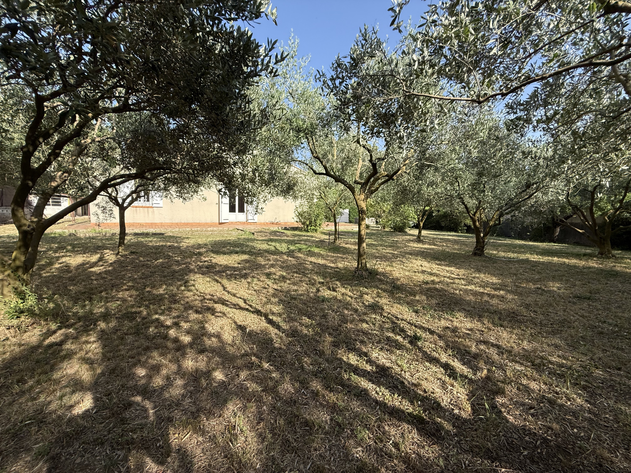 photo_5f69dce37b662ca78575a014a35701e7