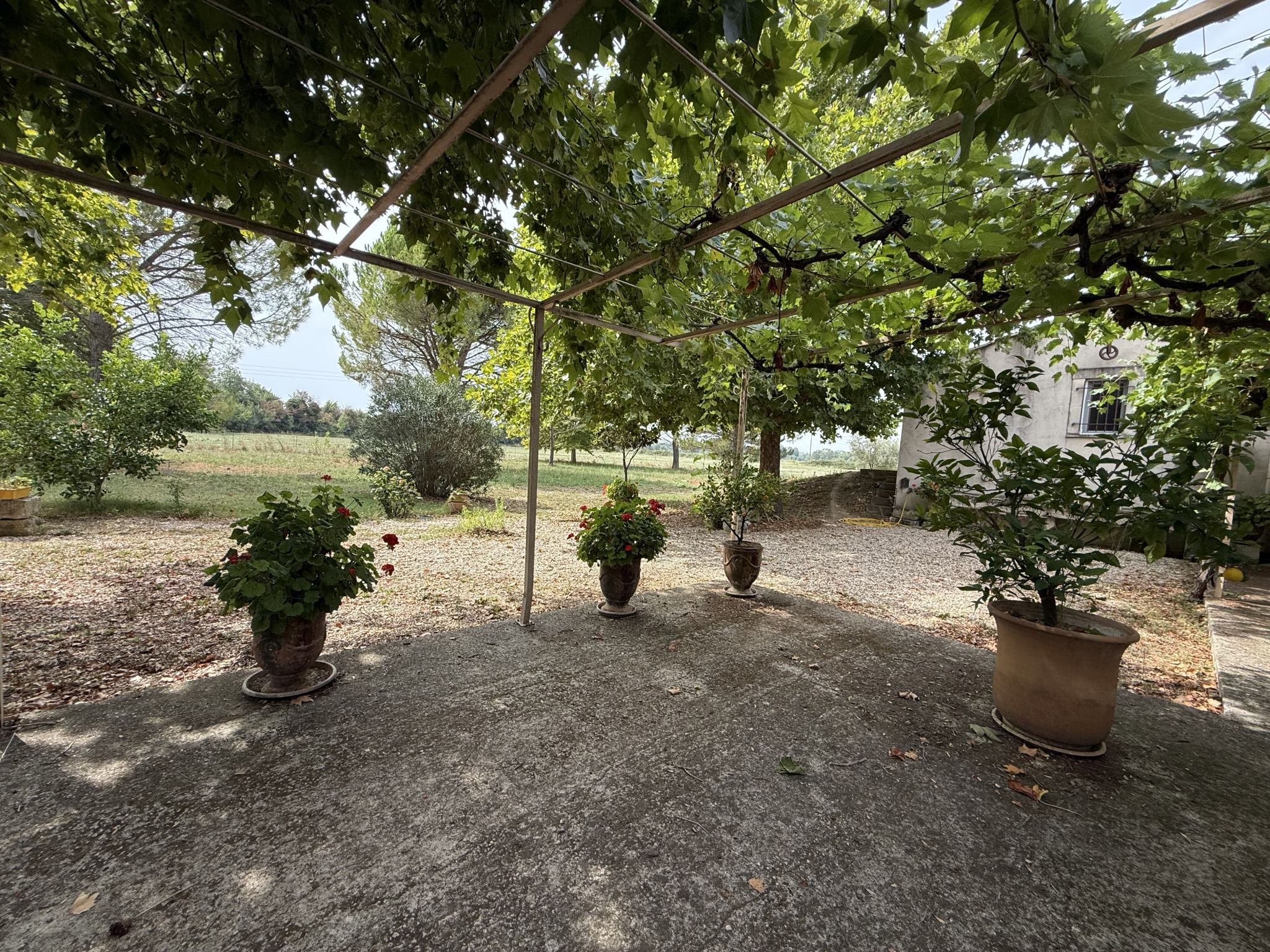 photo_60b648bf428713e2af472c7001f4ed19