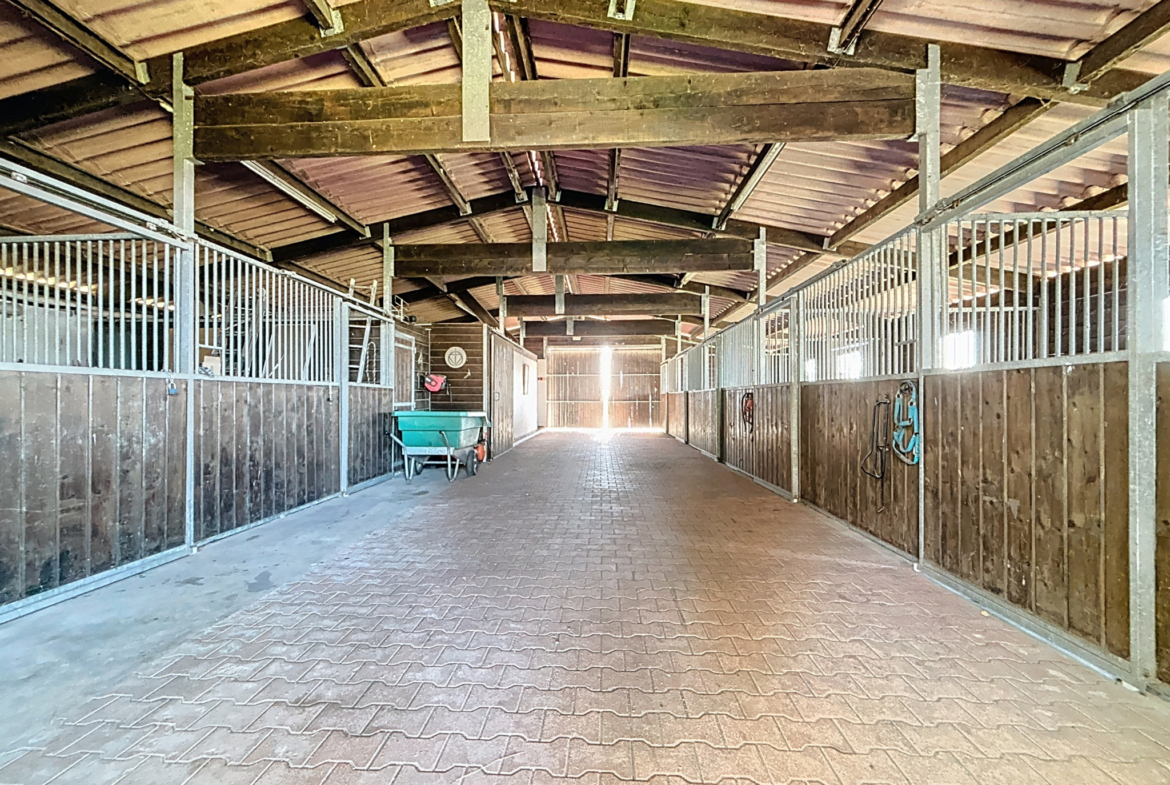 photo_64a86773fd1789b316d01086a3767f77