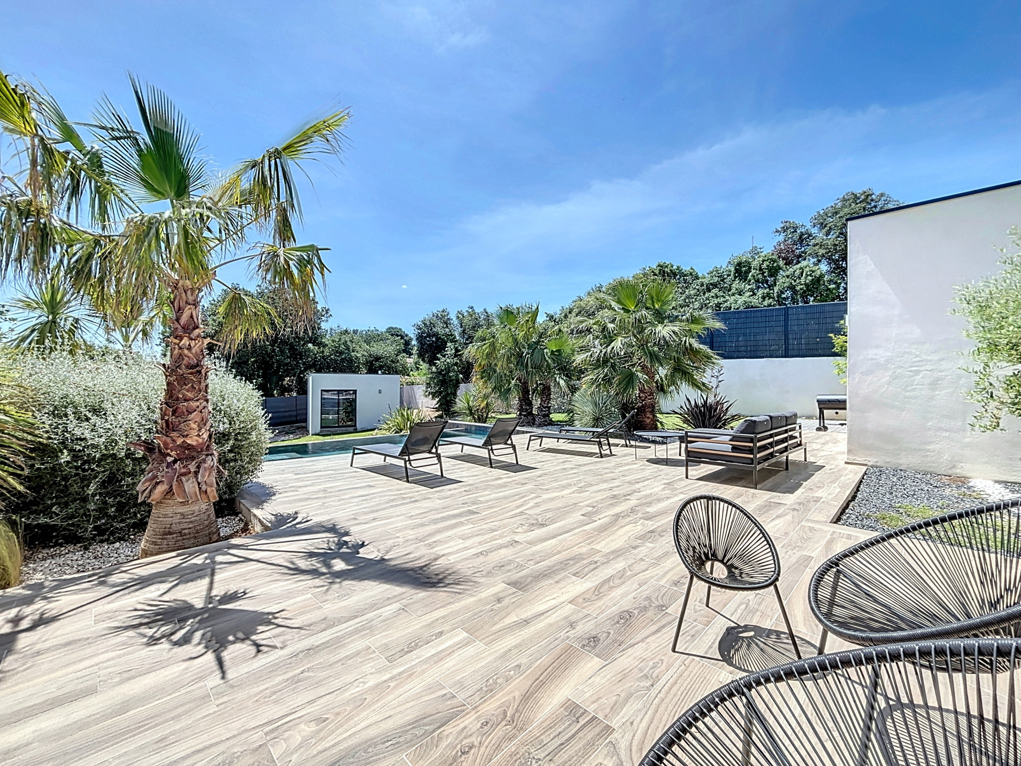 photo_65e8bb7a348401b0e32bfd7c62d1ddf6