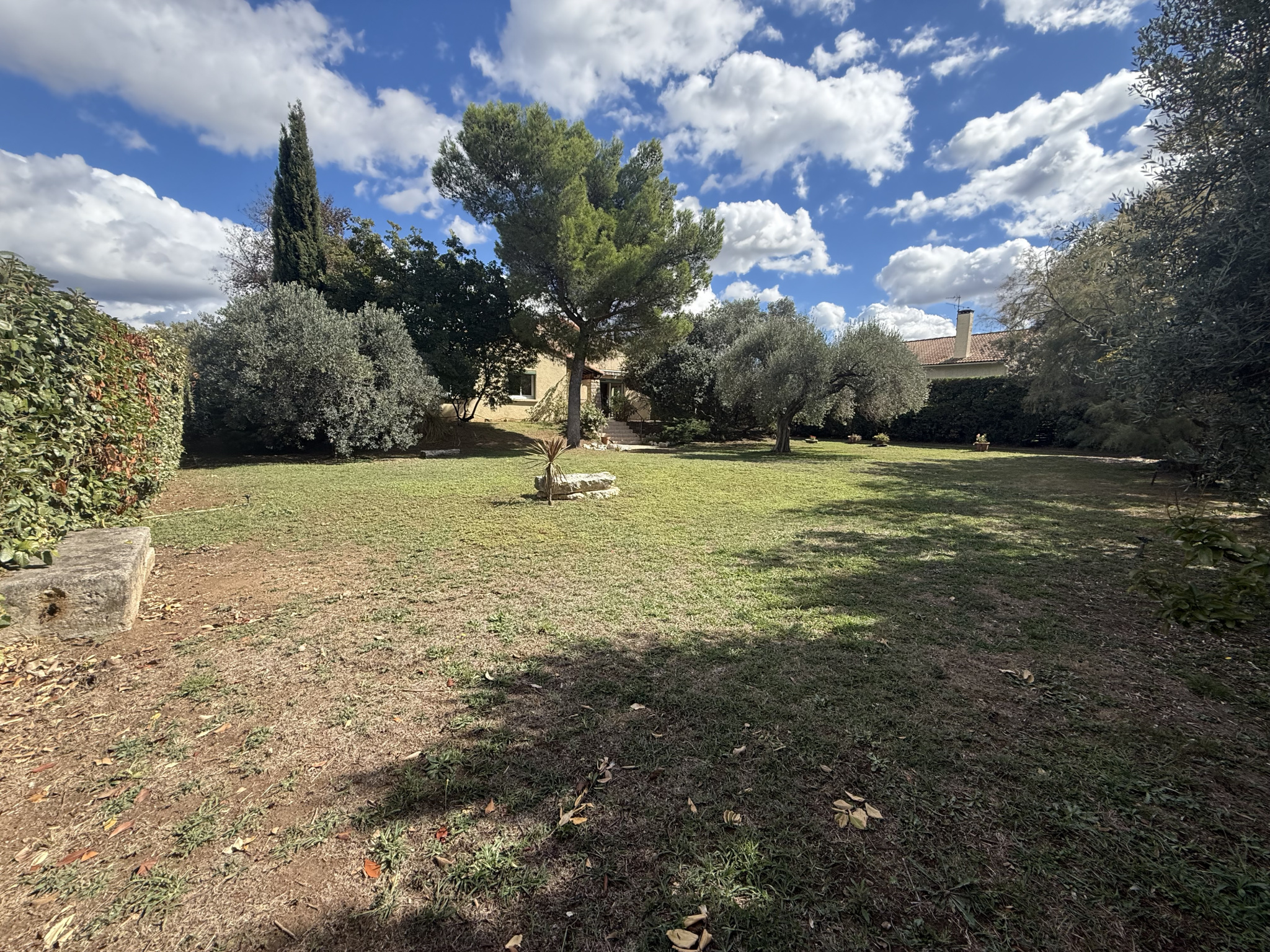 photo_849936ae5fba0a6ae96bb48c83b9af9d