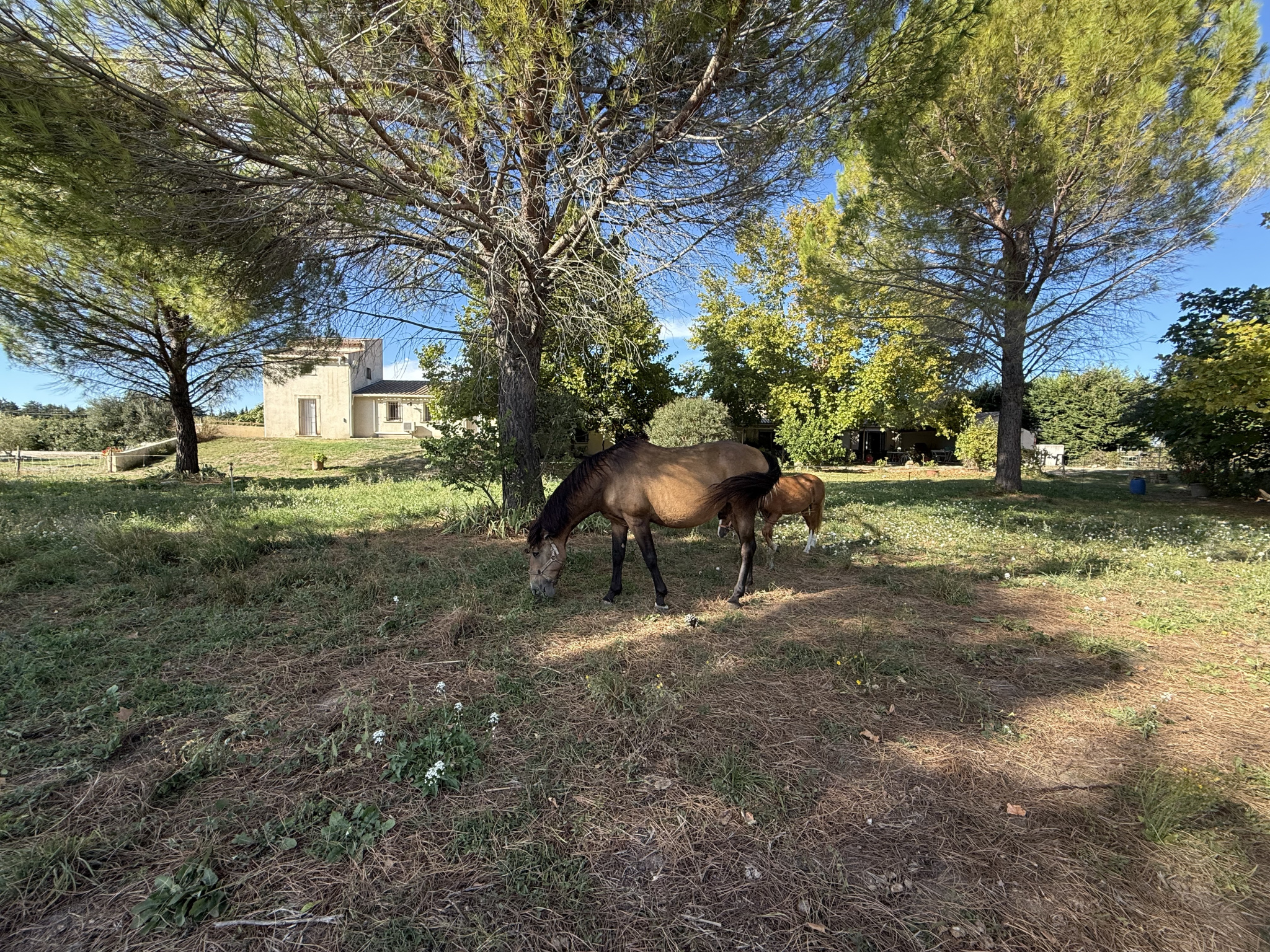 photo_85d8b4f49d6882c3135d5af9e6e27175