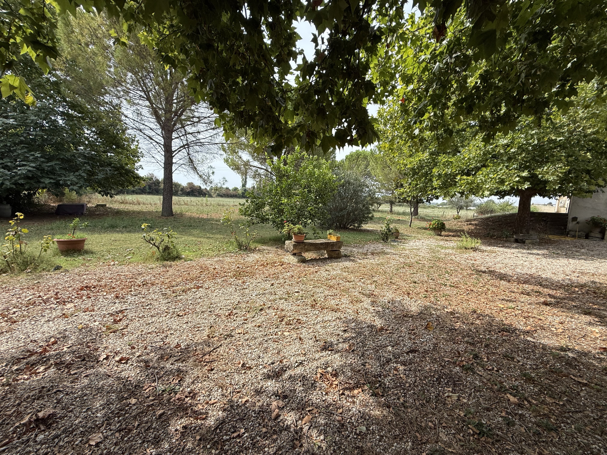 photo_89e6546909faae273da8529bc8b457e1