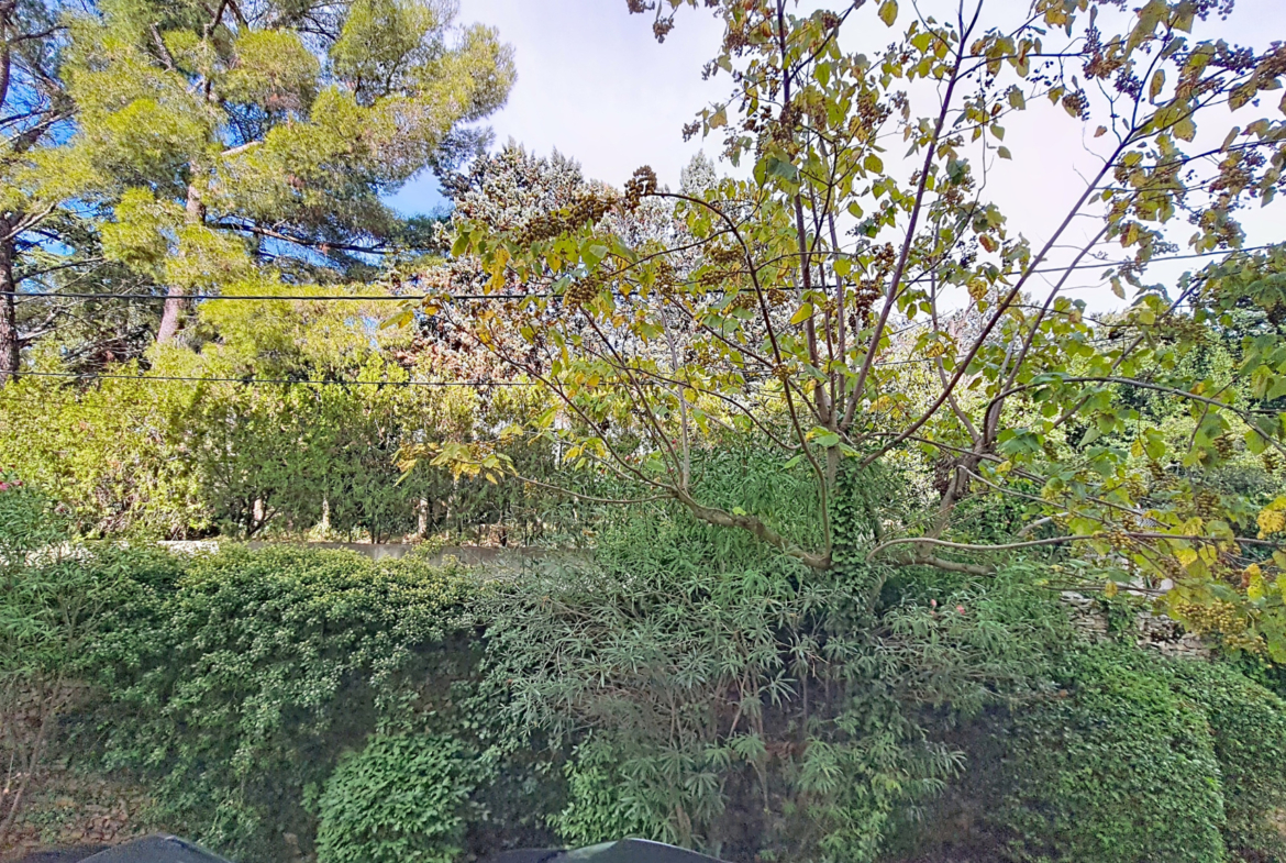 photo_8b025e66cd08779af73c72dfa140e58a