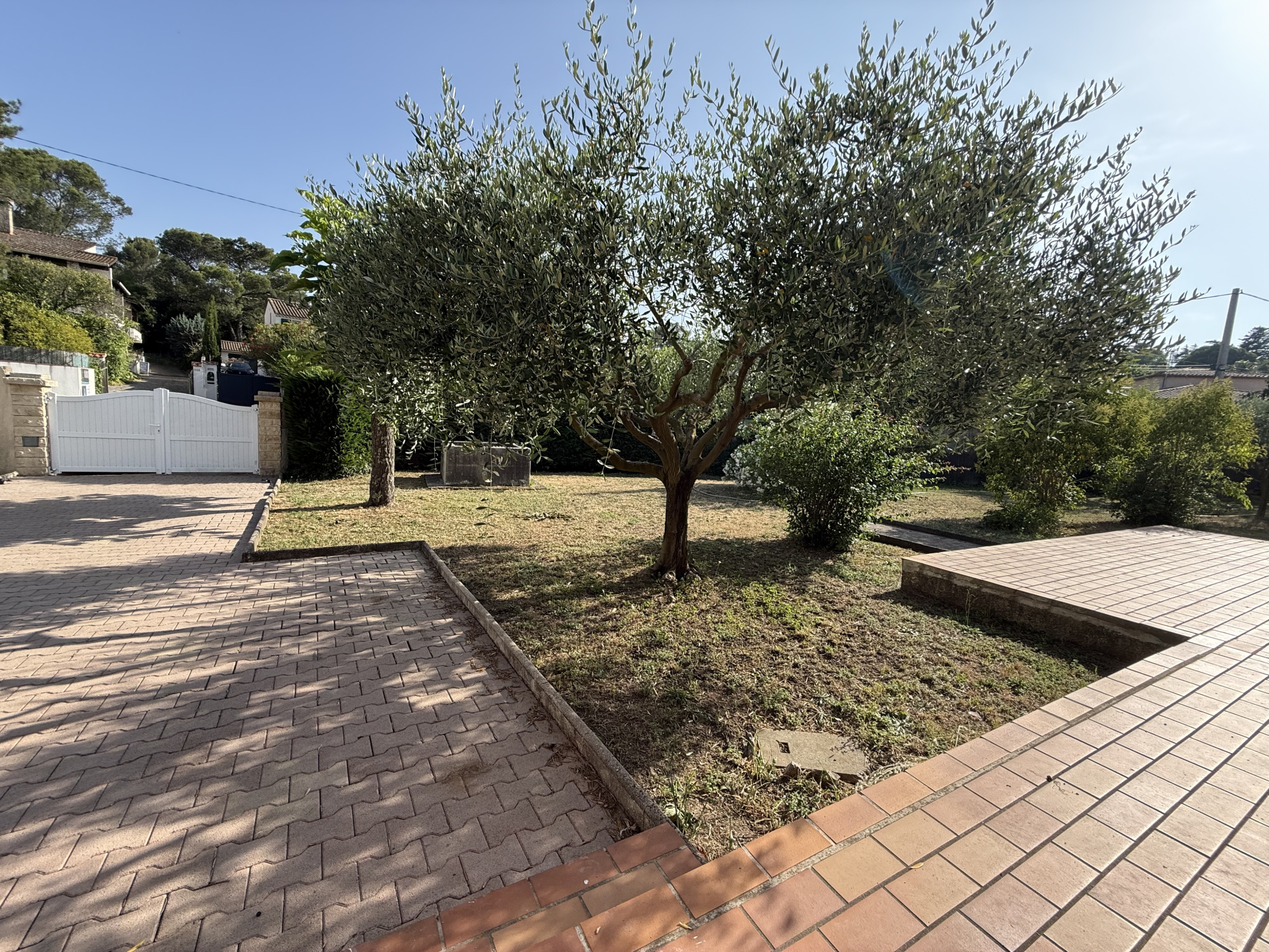 photo_9528f7a068cc235a523b1a66f515cf31