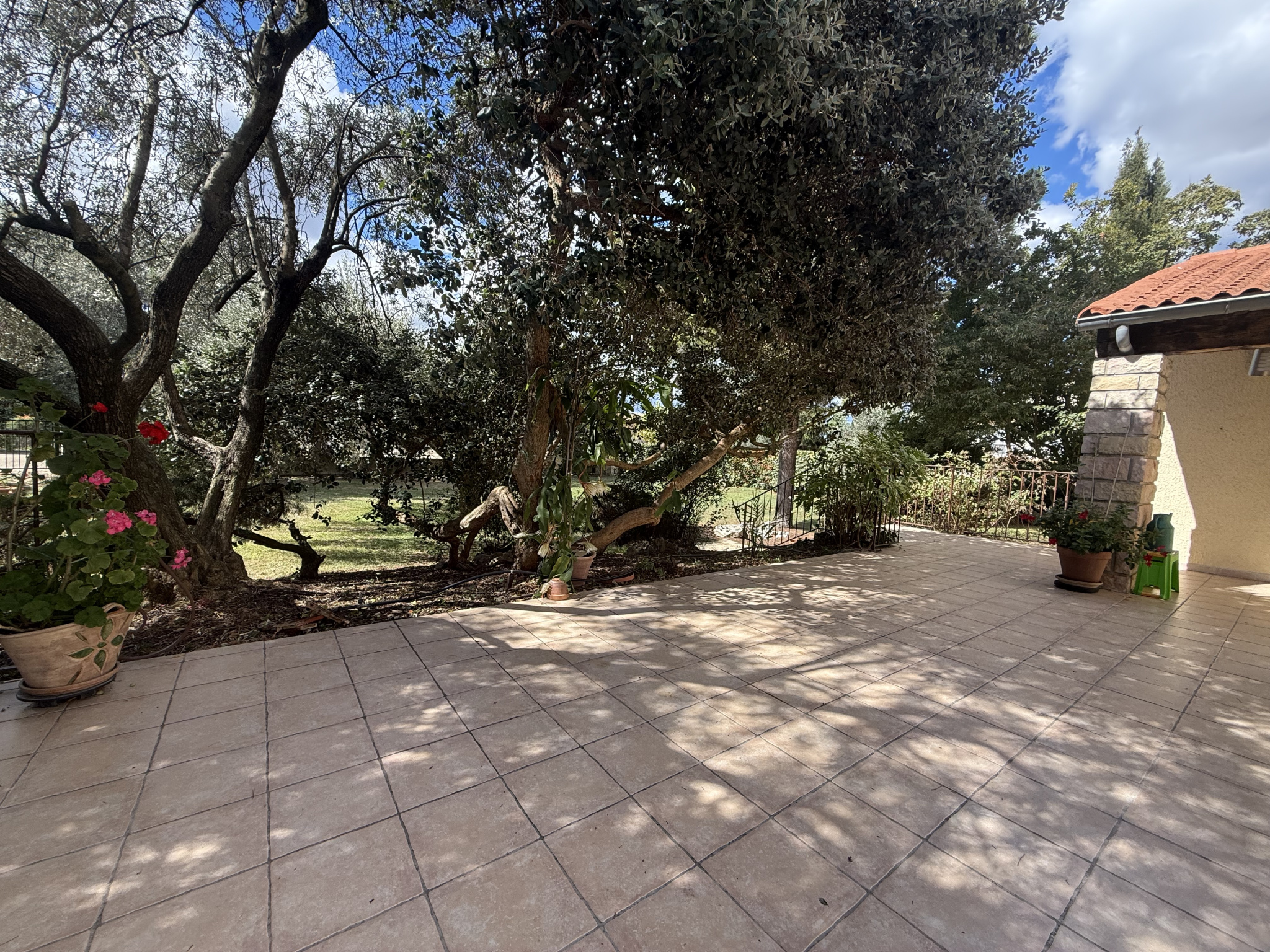 photo_97c3c524cc0fe49f194ba4cd6d6db58a