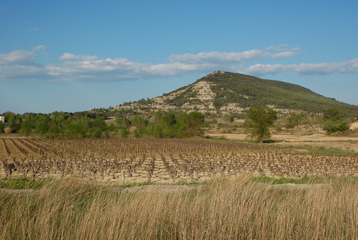 photo_994fbda1d1e8bede76d2abc0f38502b3