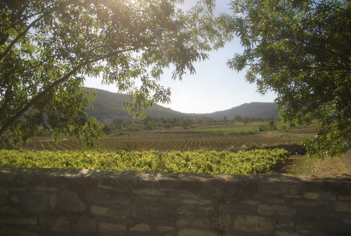 photo_a518efecb9b005cc1d45e9d4a7f6cb62