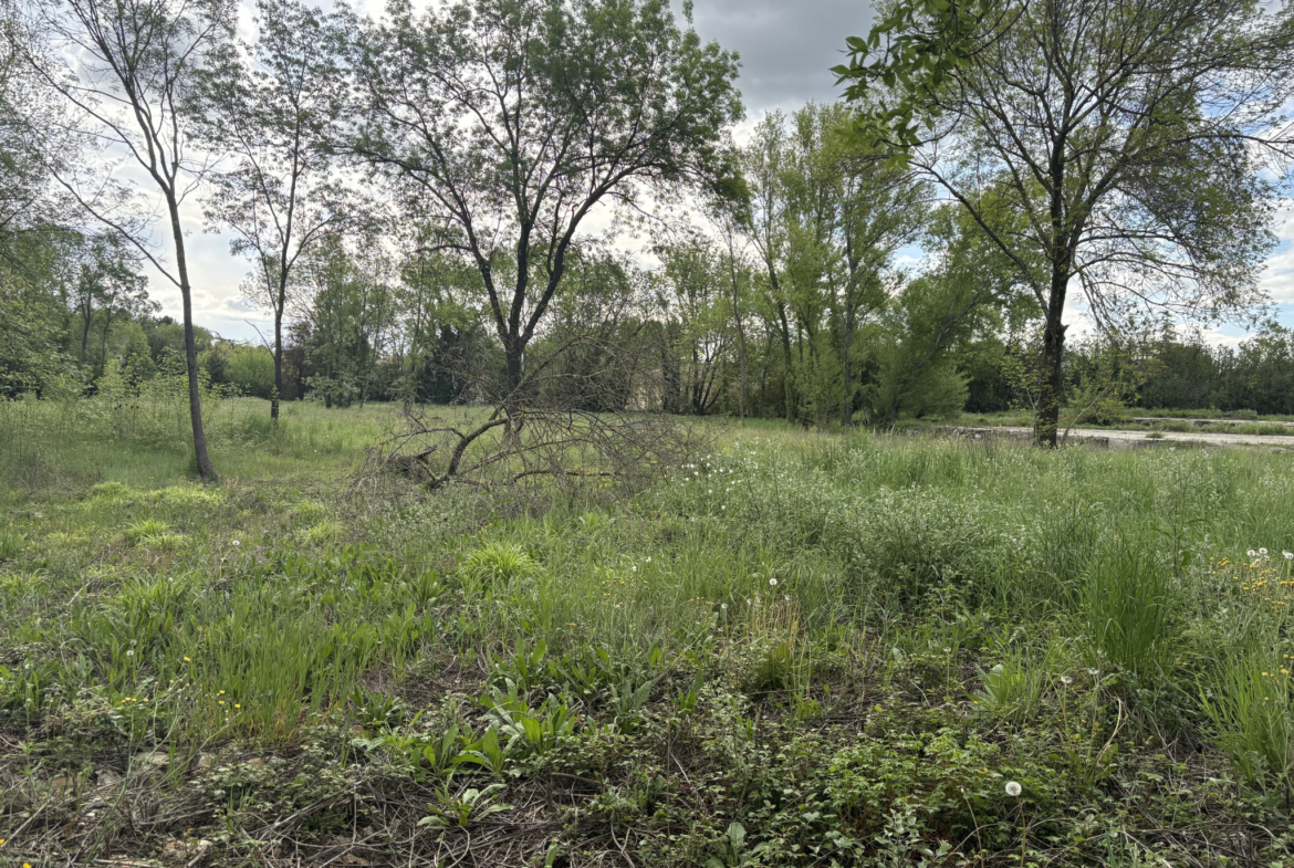 photo_badccb6a51cab03ff6c706d84f8e4999