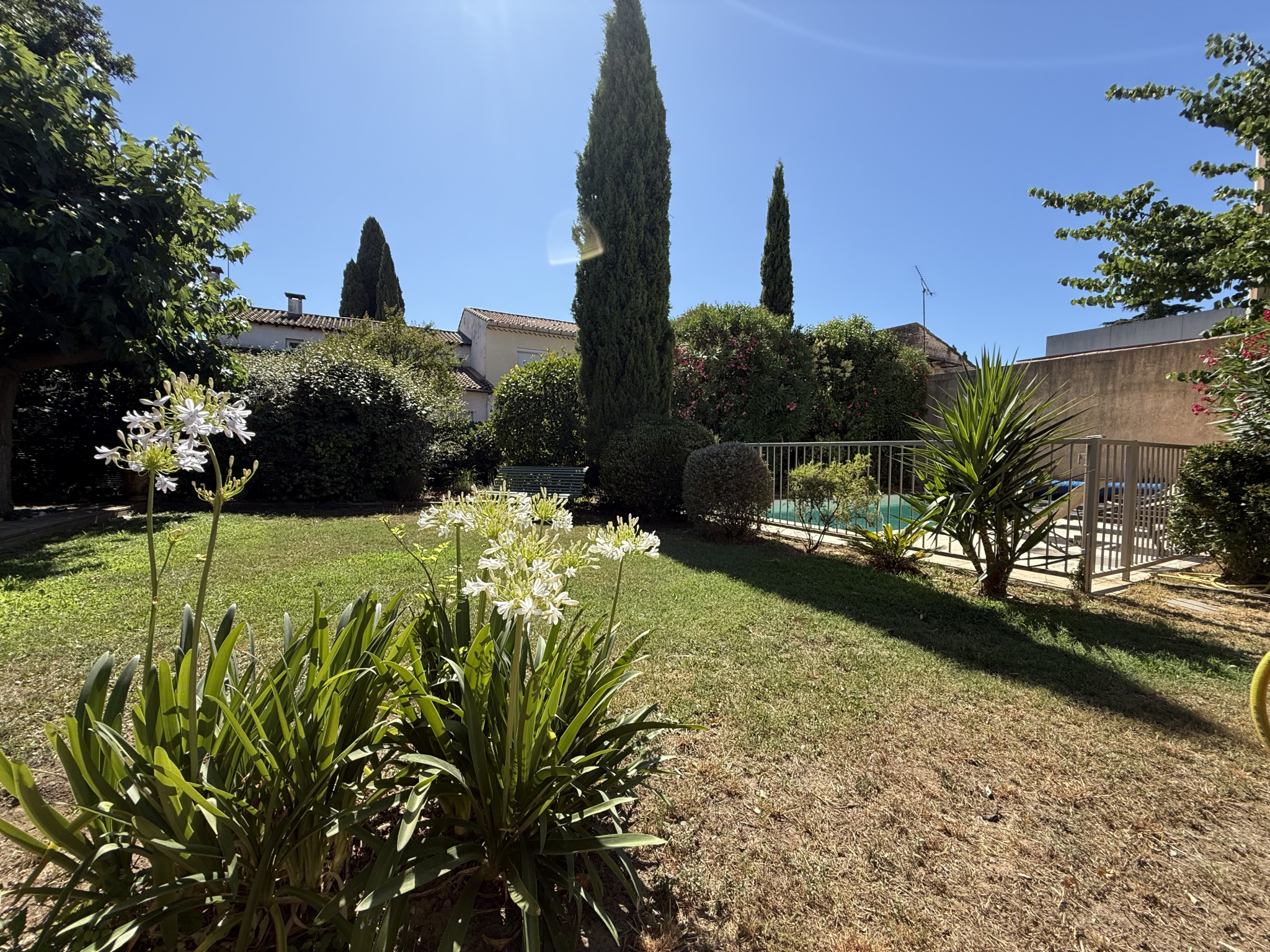 photo_bf9f560e34caed6aeb3906596396fb65