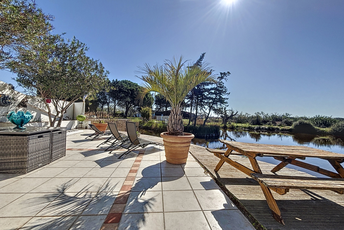 photo_c787b1d12d69eb806287a85f875e137f