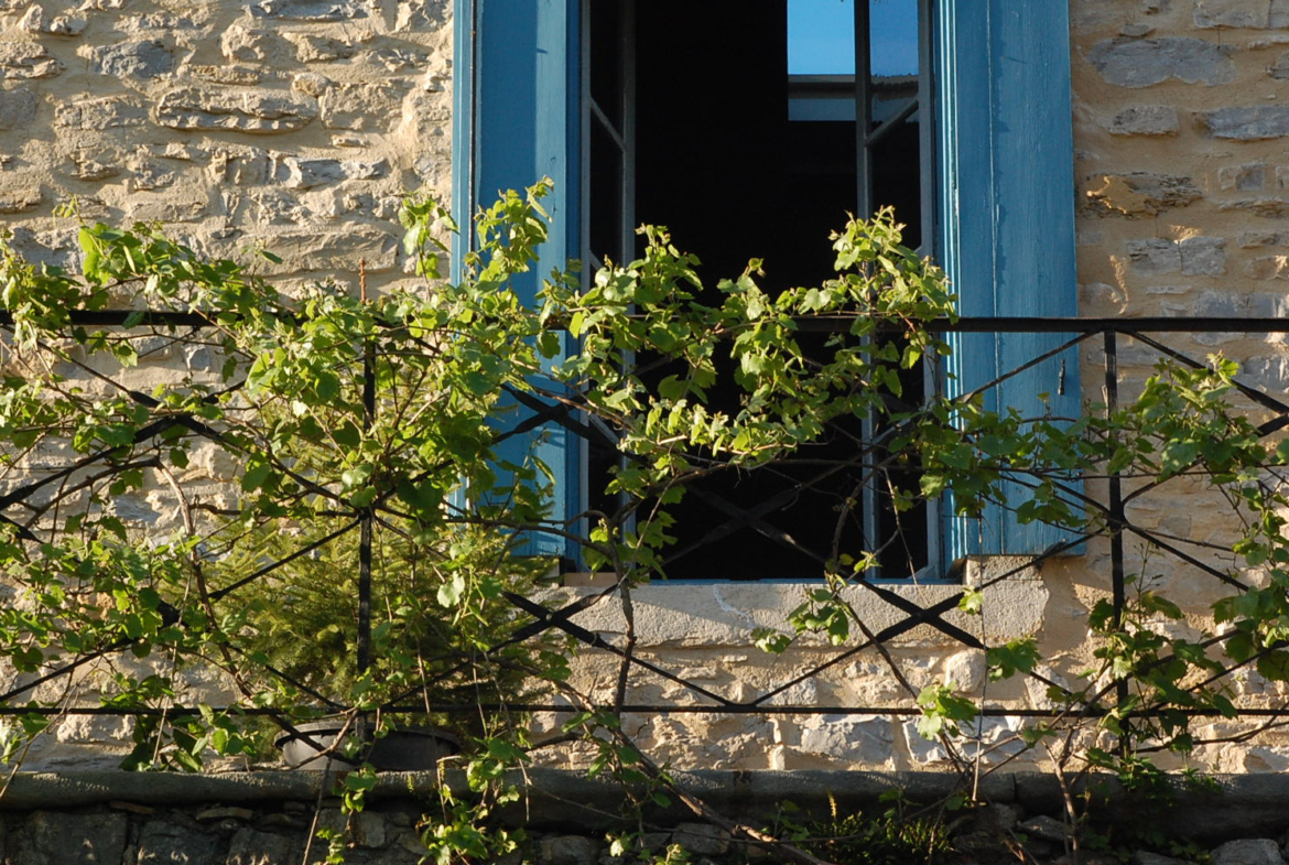 photo_ce12466bde571d914988905b6c4e5032