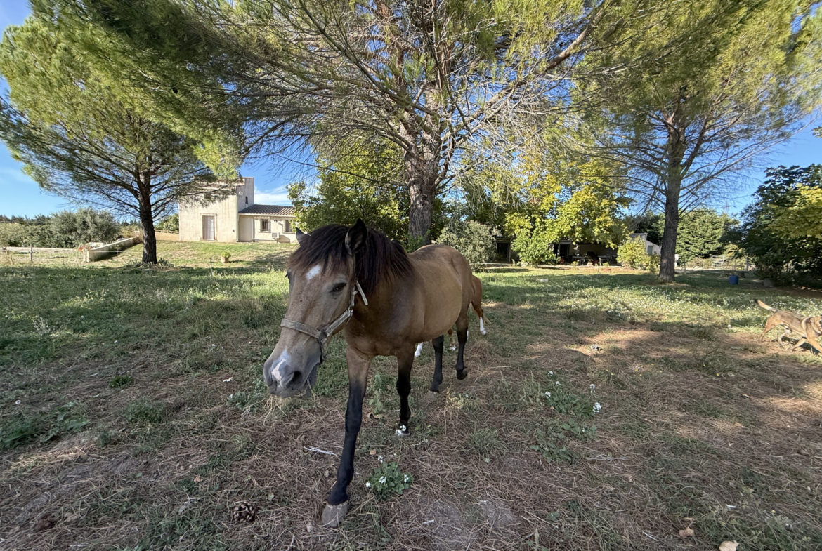 photo_e7b8d37bf0dcce80e0209b1c9600ca9b