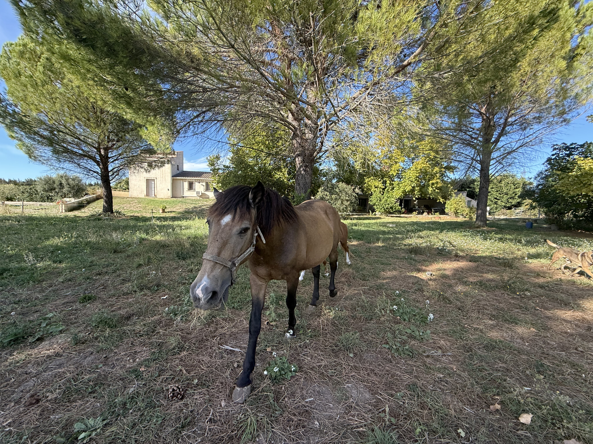 photo_e7b8d37bf0dcce80e0209b1c9600ca9b