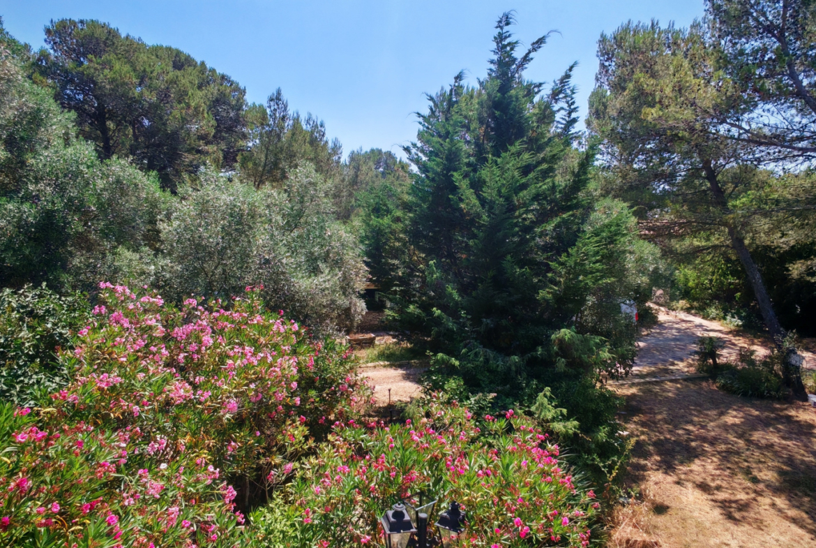 photo_f3582d974d194fedf311c230fbd1a0e3