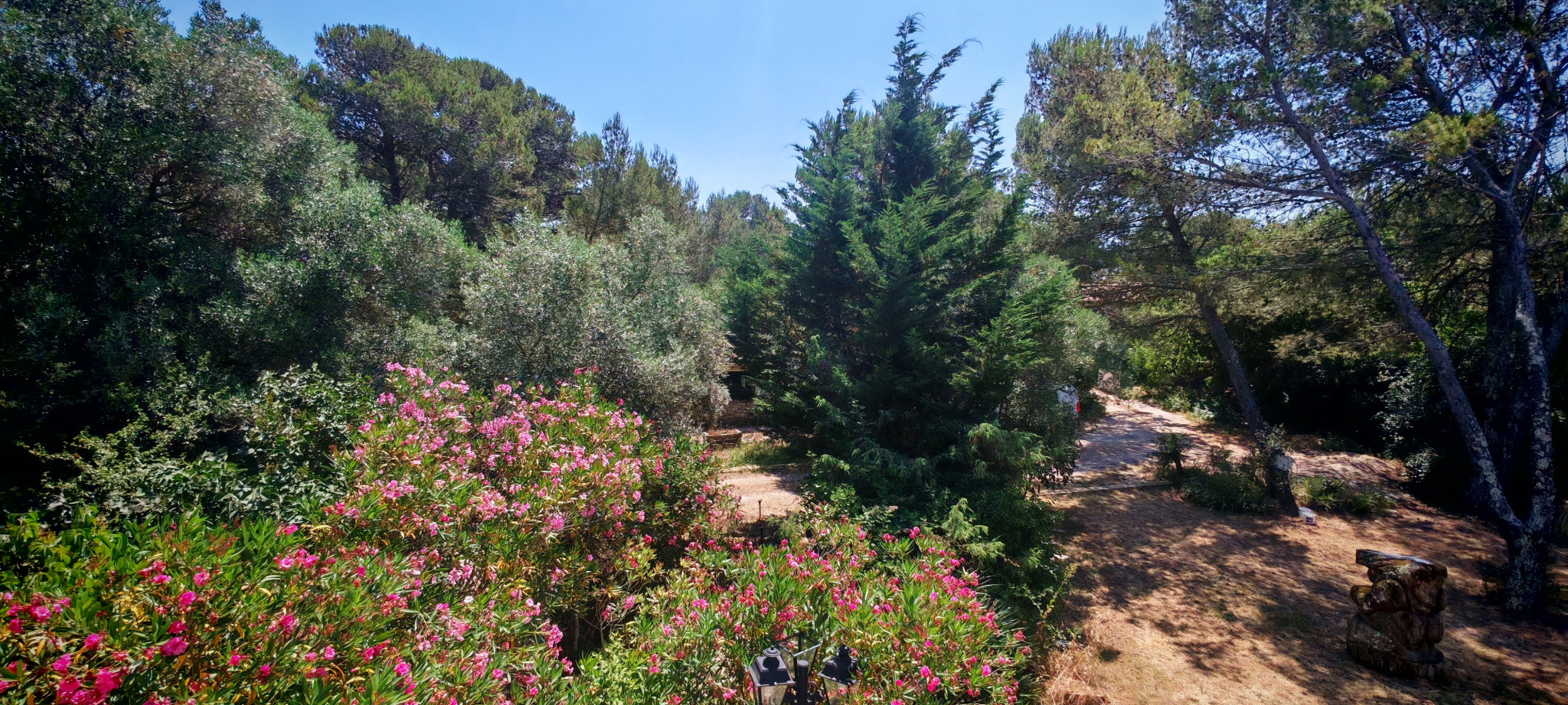 photo_f3582d974d194fedf311c230fbd1a0e3