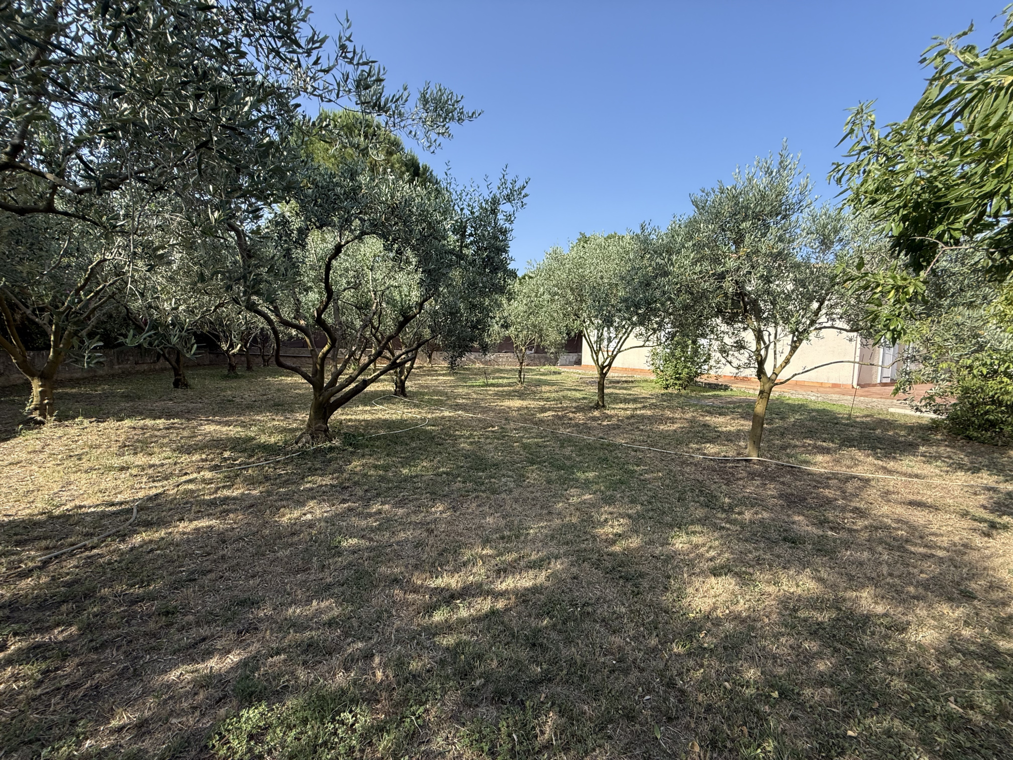 photo_f810b42881ec707c33534d237aaae55d