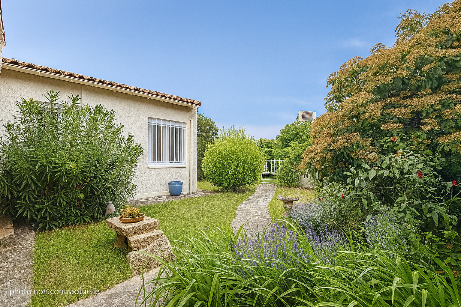 photo_fa4a8f63f836b2fc602fa4d5317deb10