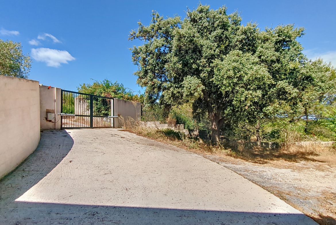 photo_f4e8adfed62dc08c26947efbe81321b2