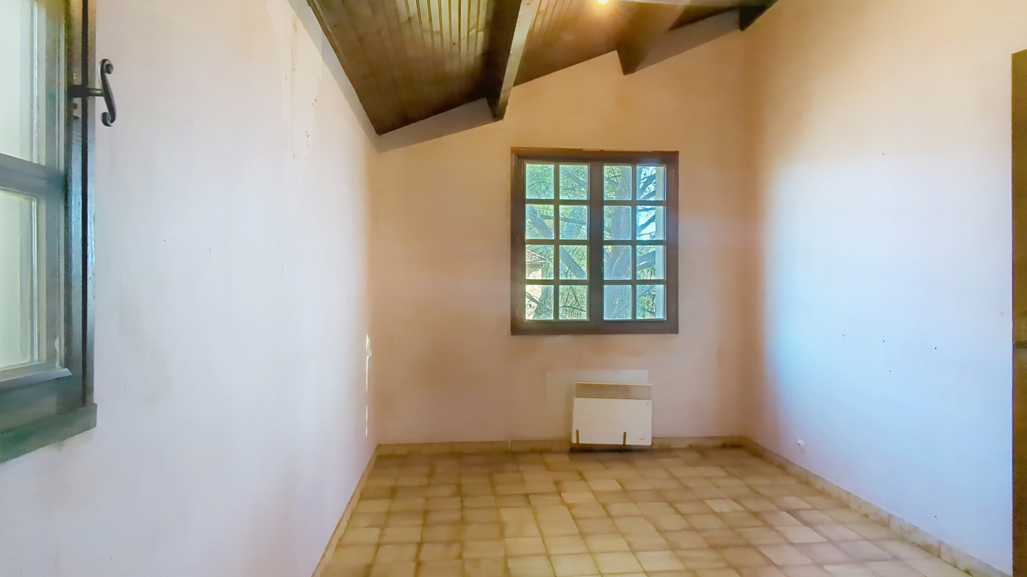 photo_4b44fc39287b9a1e7708bea1584bfa8a