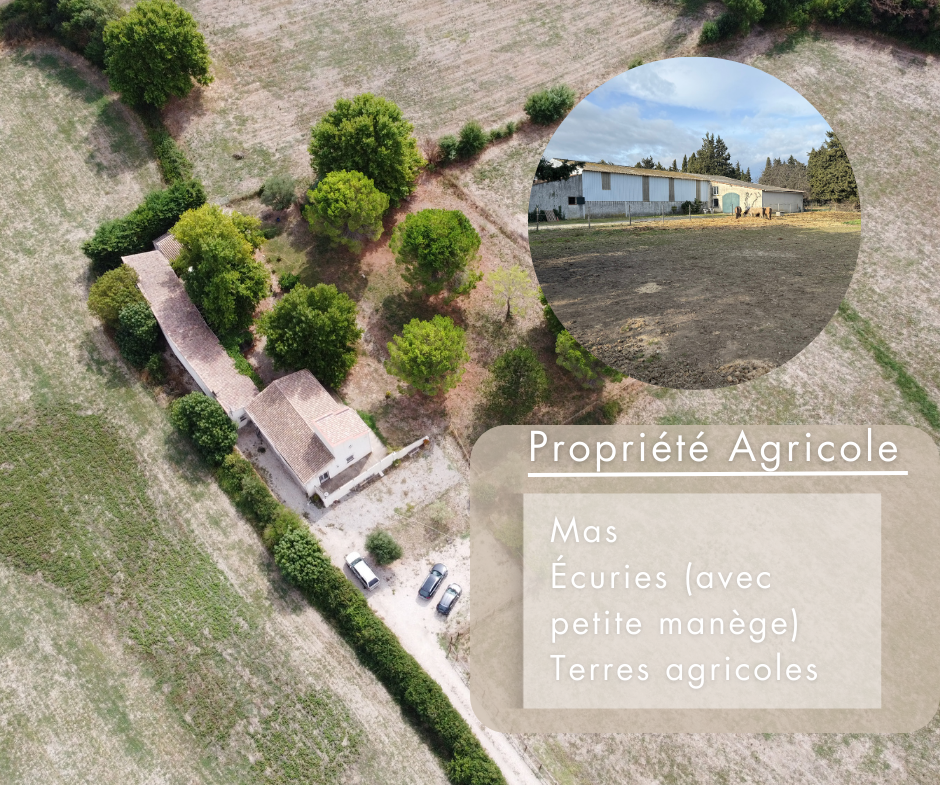 photo_689e832406512d3f34c7c7d855e5c867