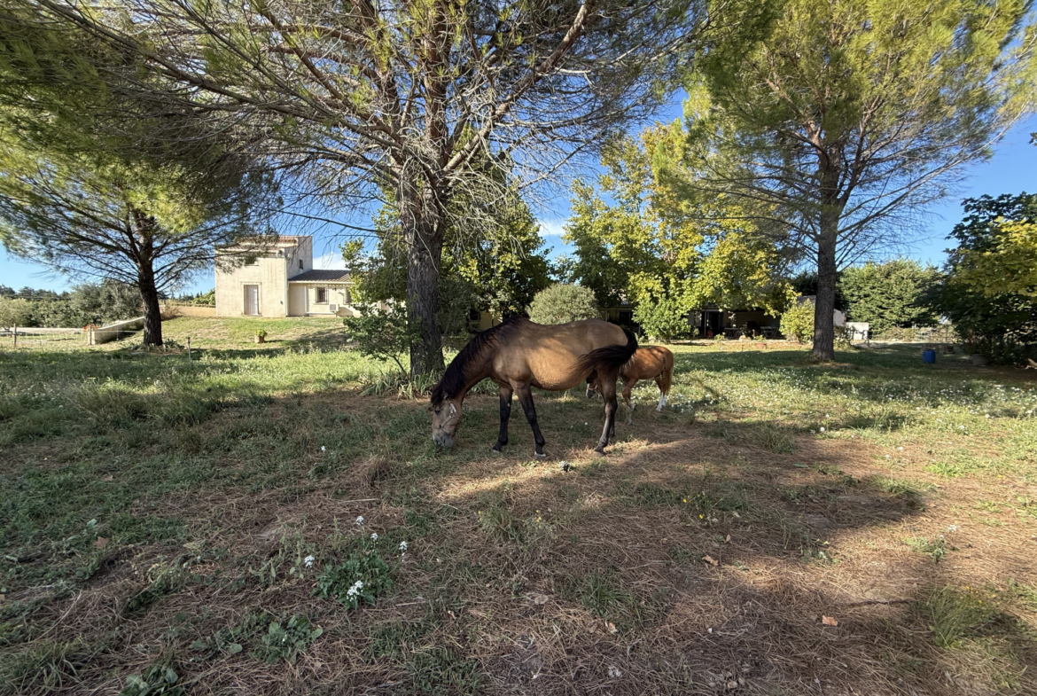 photo_85d8b4f49d6882c3135d5af9e6e27175